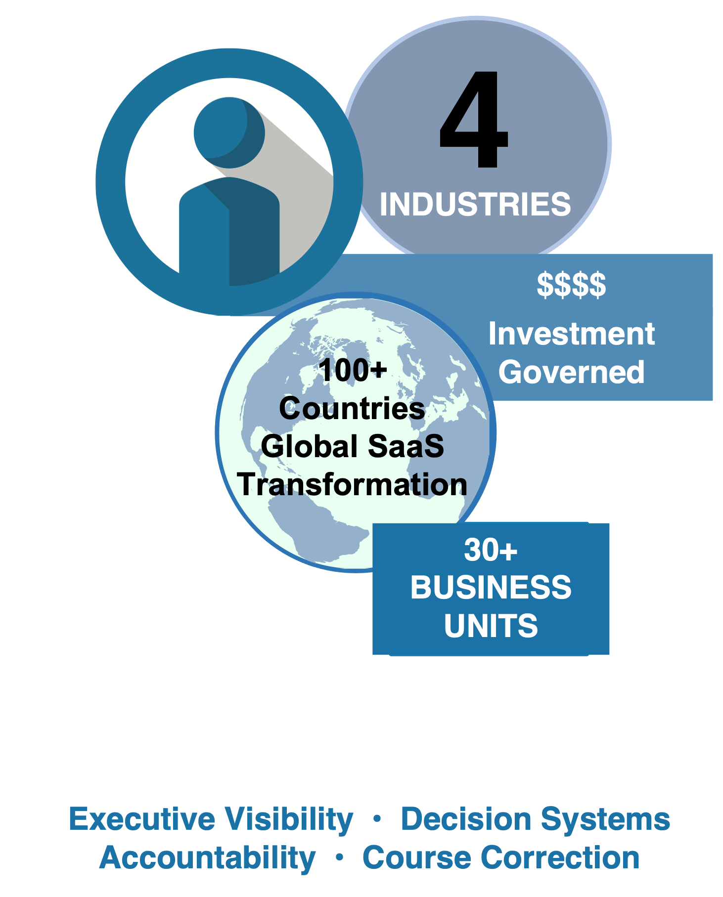 Diane M. Burch’s scale of leadership across global transformation, governance, industries, countries, business units, and technology platforms.