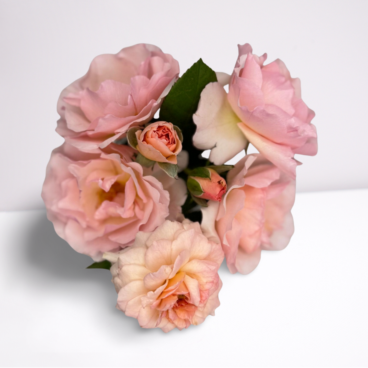 local_image_BA3214EA_3074_4022_BD90_49DF5049B5F8_L0_001.png