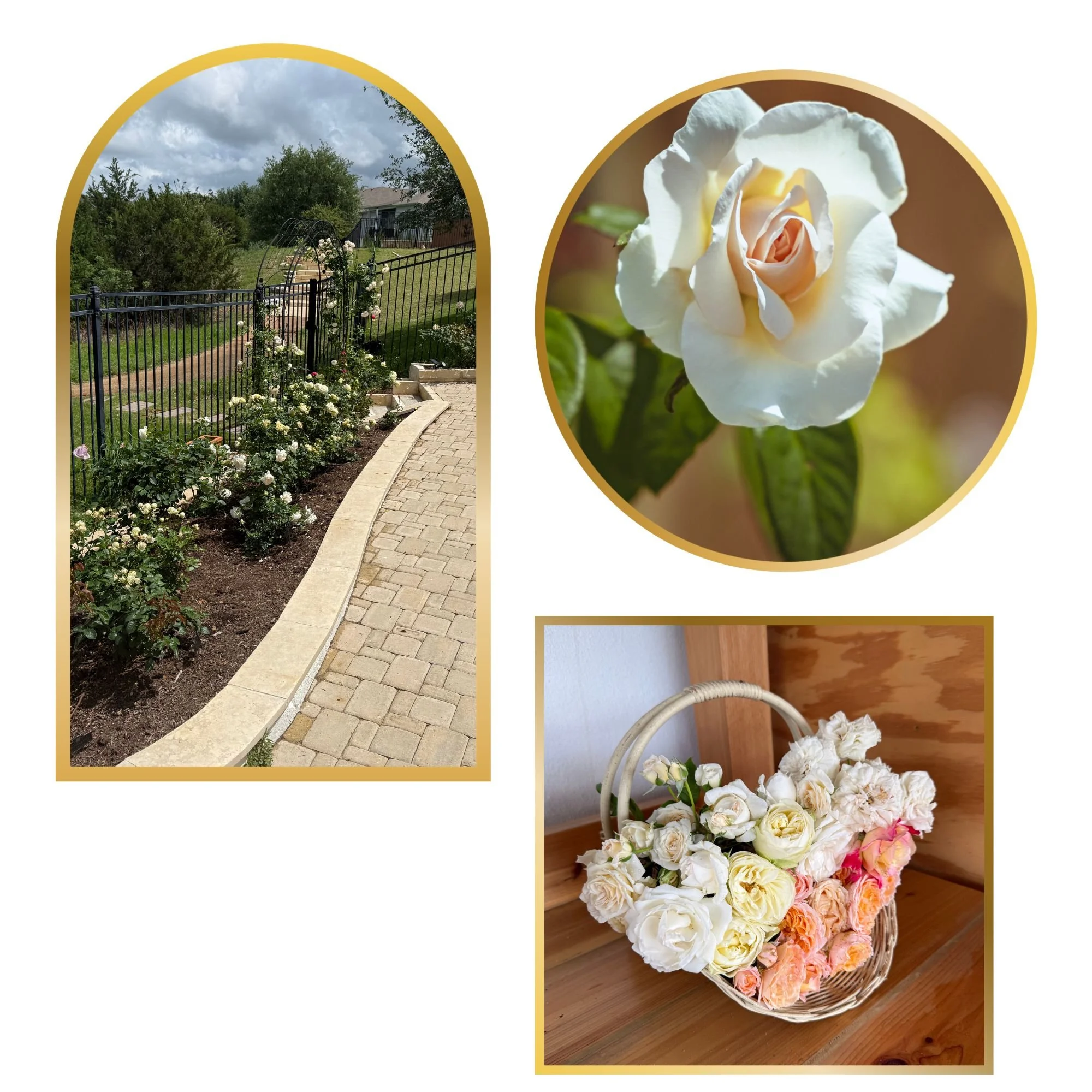 Tea & Roses: A tour and tea for you and up to four guests