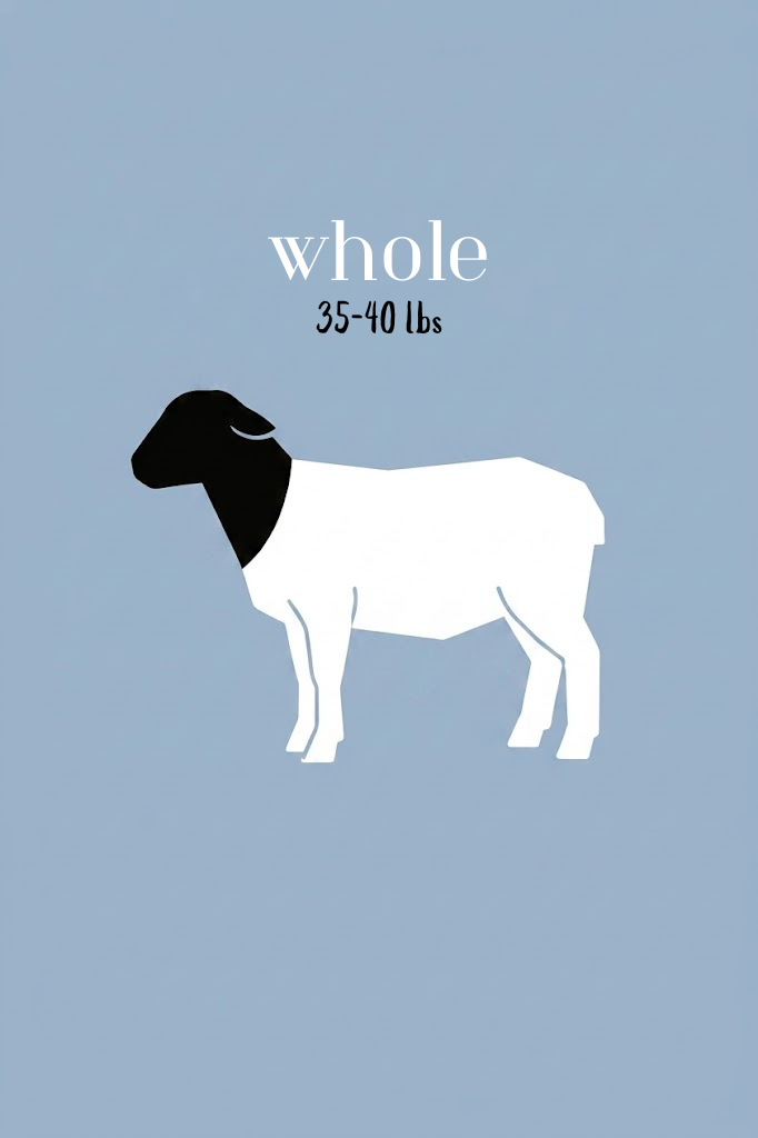 WHOLE.png