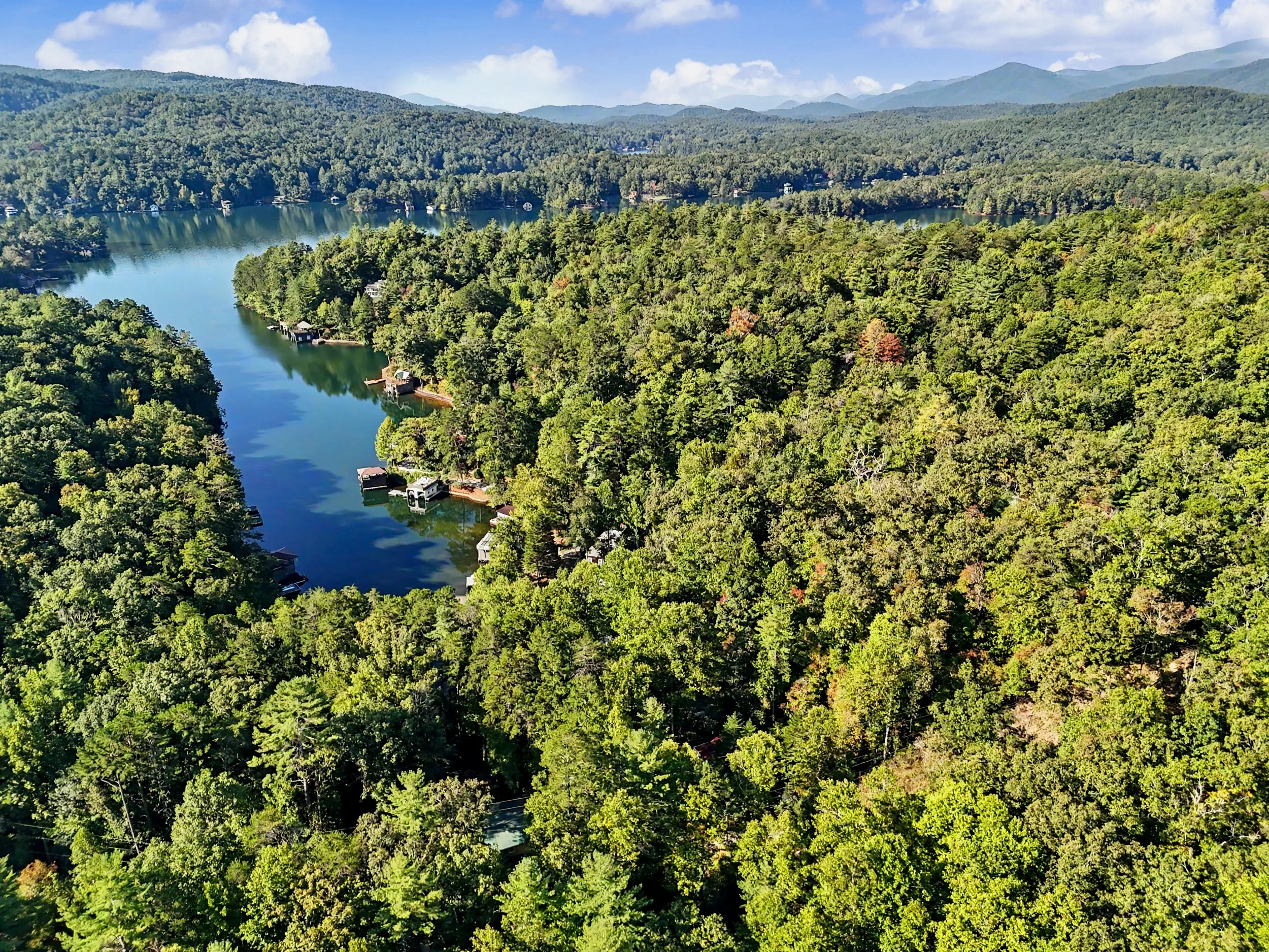 Aerial view of a lush green forest surrounding a Lake Burton with a few houses along the shoreline, hills and mountains in the background, under a partly cloudy sky.