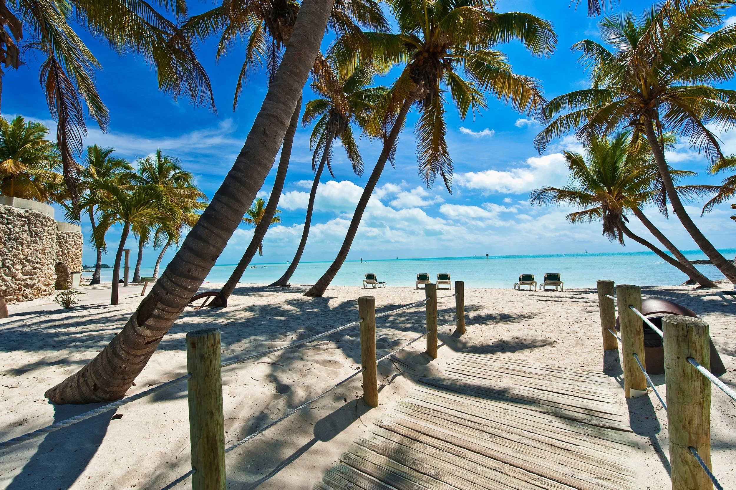 Palm trees beside a tropical beach — original welcome article photograph