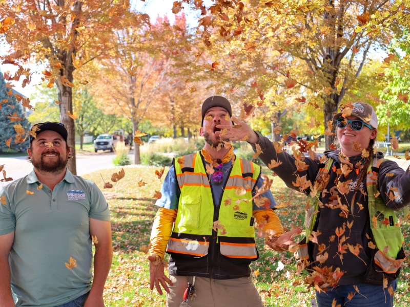 Parks Team