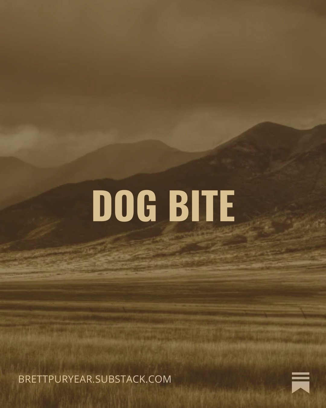 Jimy Valenti Substack: Dog Bite