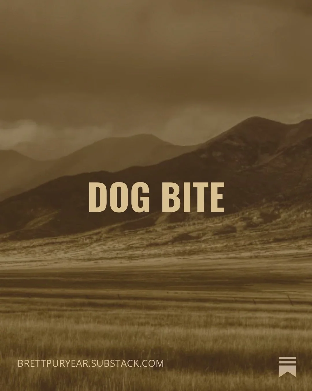 Jimy Valenti Substack: Dog Bite