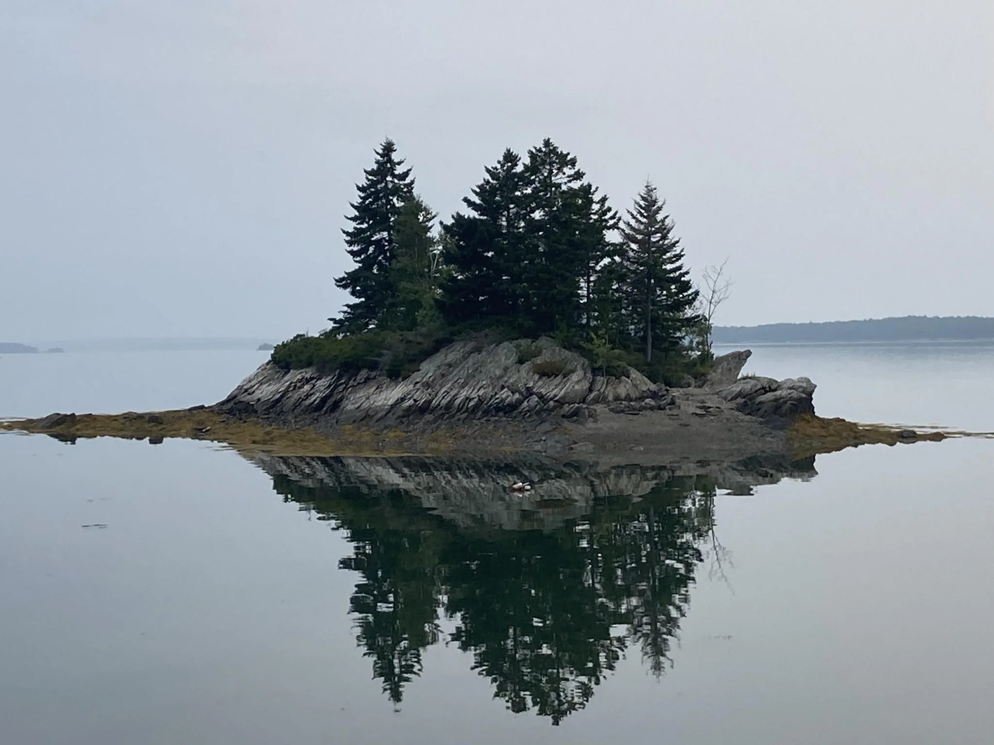 A small island with tall, dark green pine trees and rocky terrain, reflected in the still water of a lake on a cloudy day.