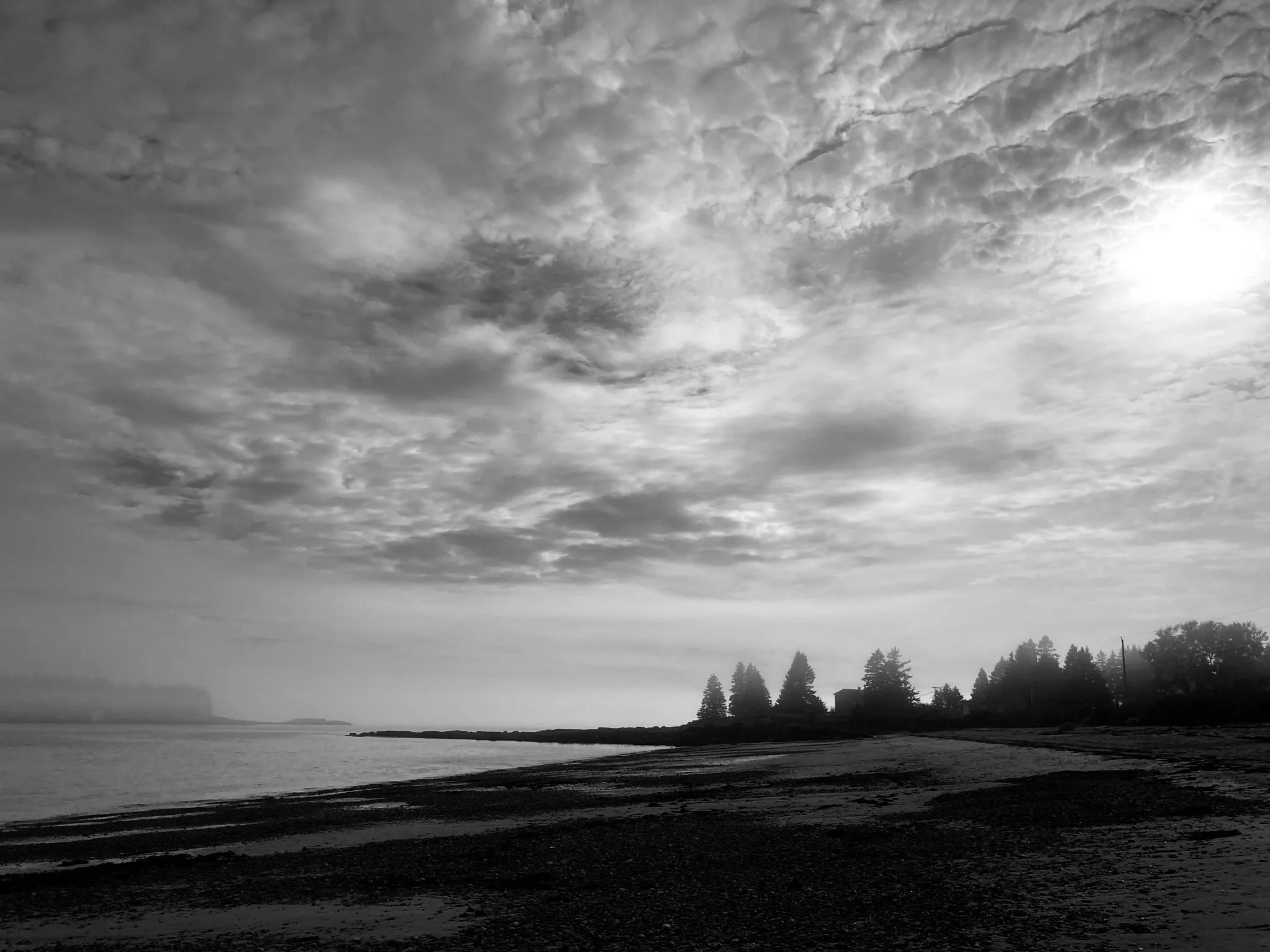 A black and white landscape photograph of a coastline with trees on the horizon, a body of water, and a partly cloudy sky with clouds forming streaks and patches.