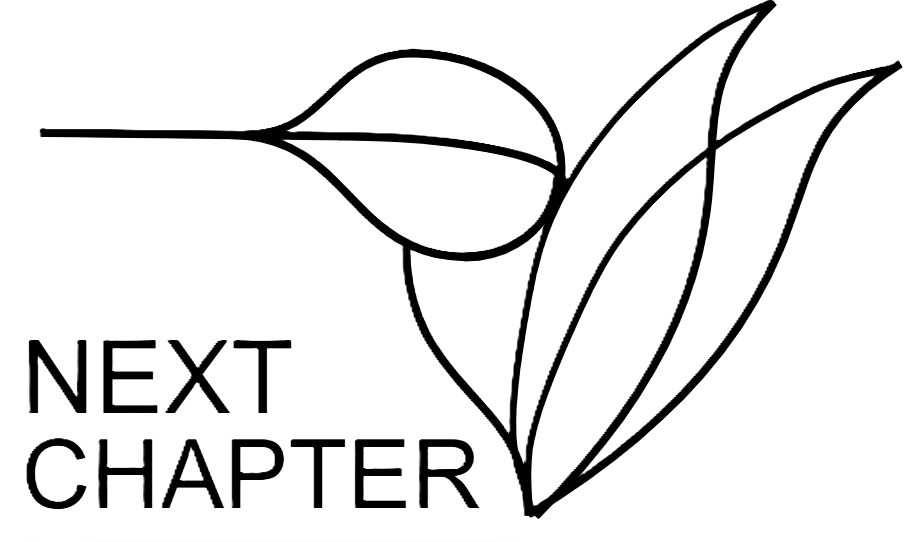 nextchapterleadershipgroup.com