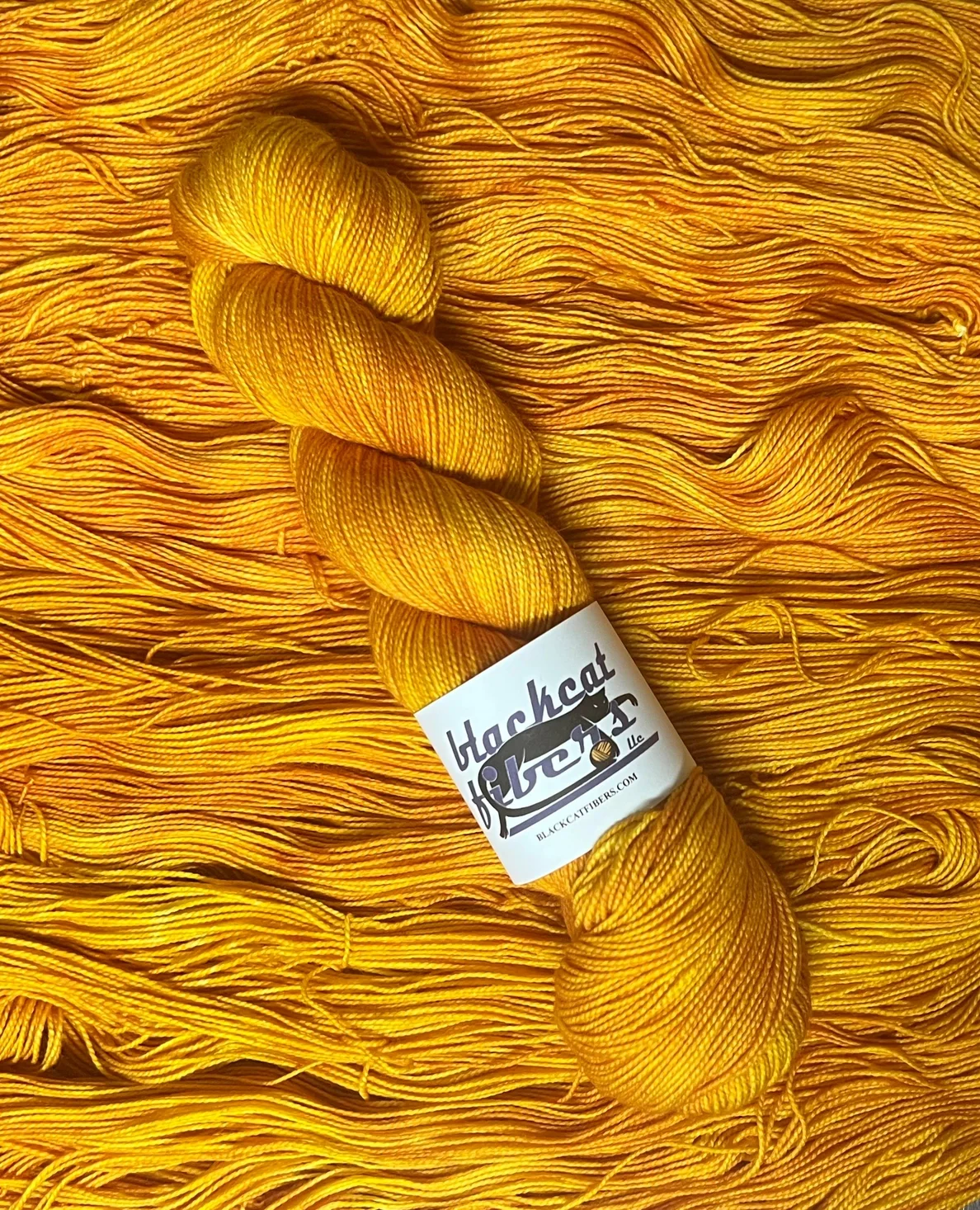 Saffron: Serendipity Sock - Black Cat Fibers