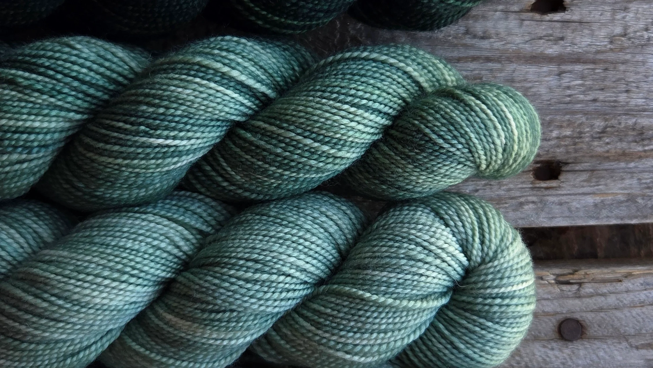 KPM Pine Solid Colour Family - Koigu Wool Designs