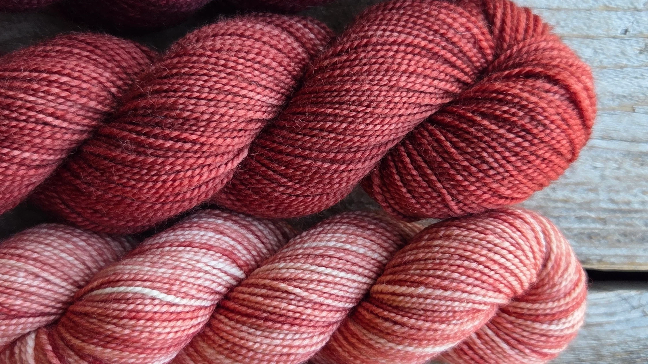 KPM Rust Solid Colour Family - Koigu Wool Designs