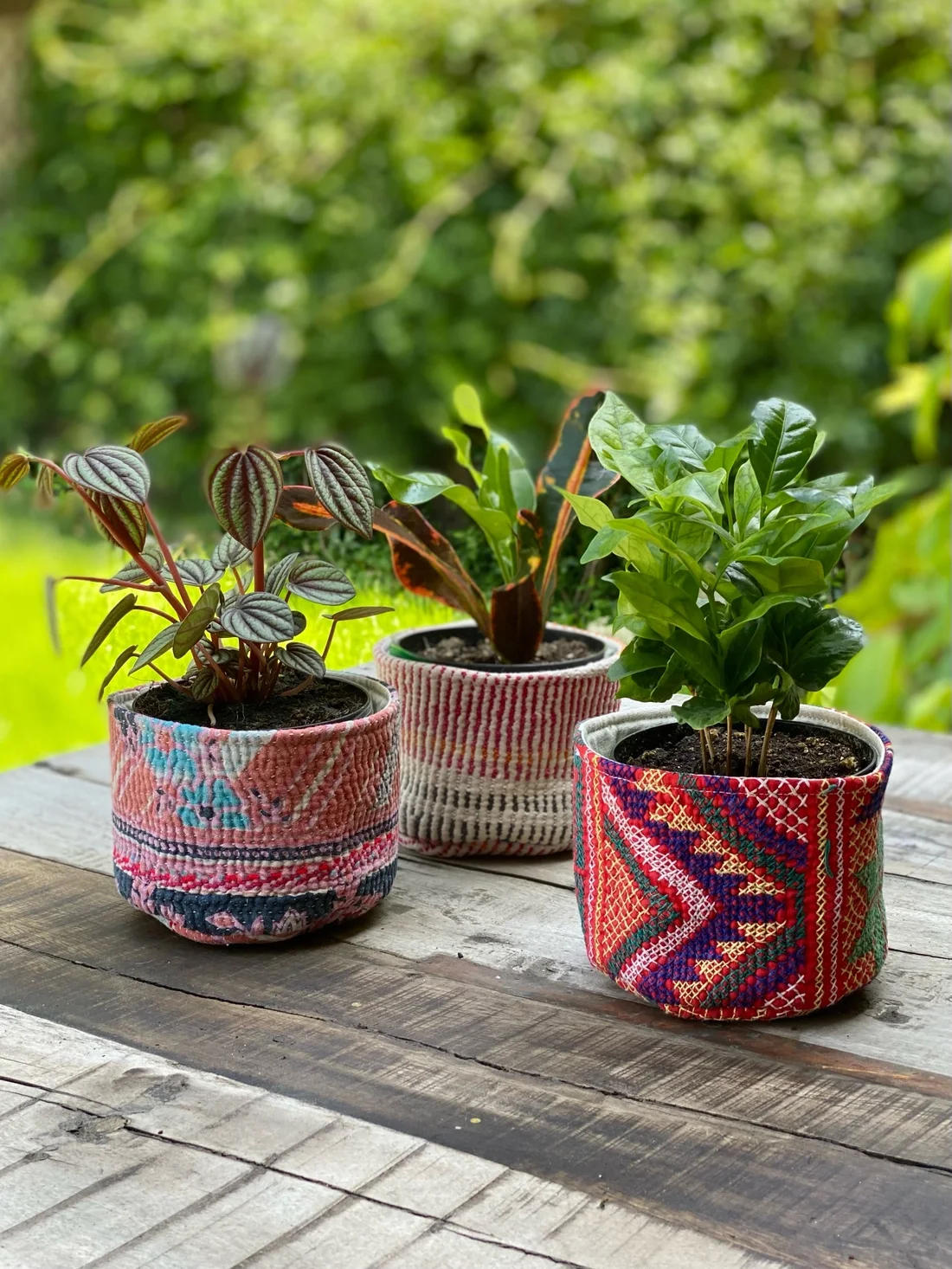 Assorted Pattern Soft Cozie Container - Belle's Nest