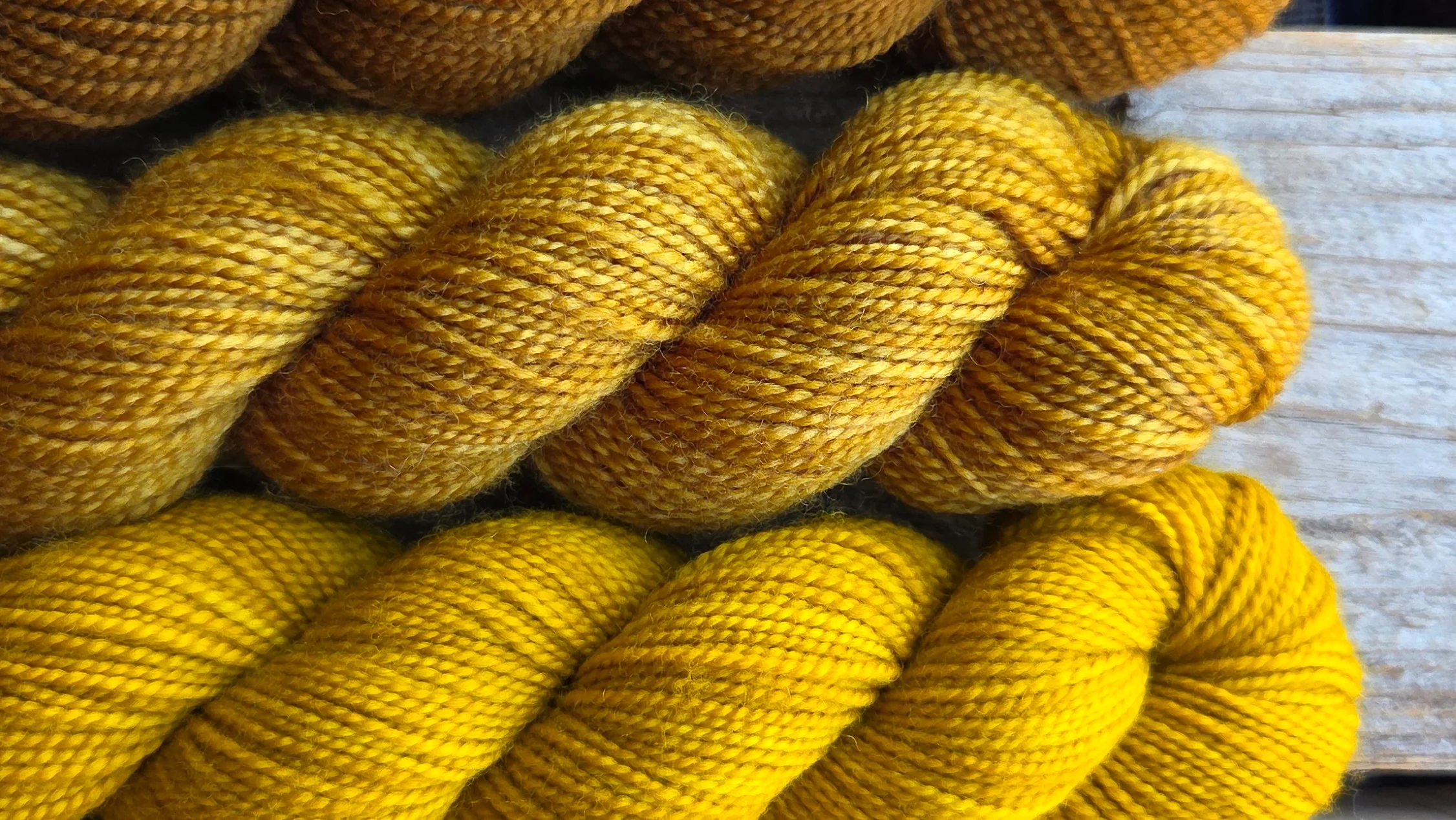 KPM Ochre Solid Colour Family - Koigu Wool Designs