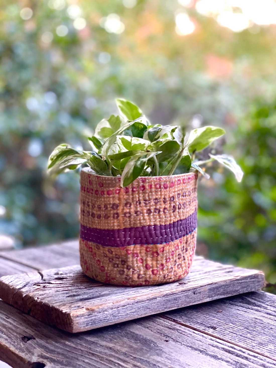 HOM-BN-COZ-ASP Soft Cozie Container 3.jpeg.webp