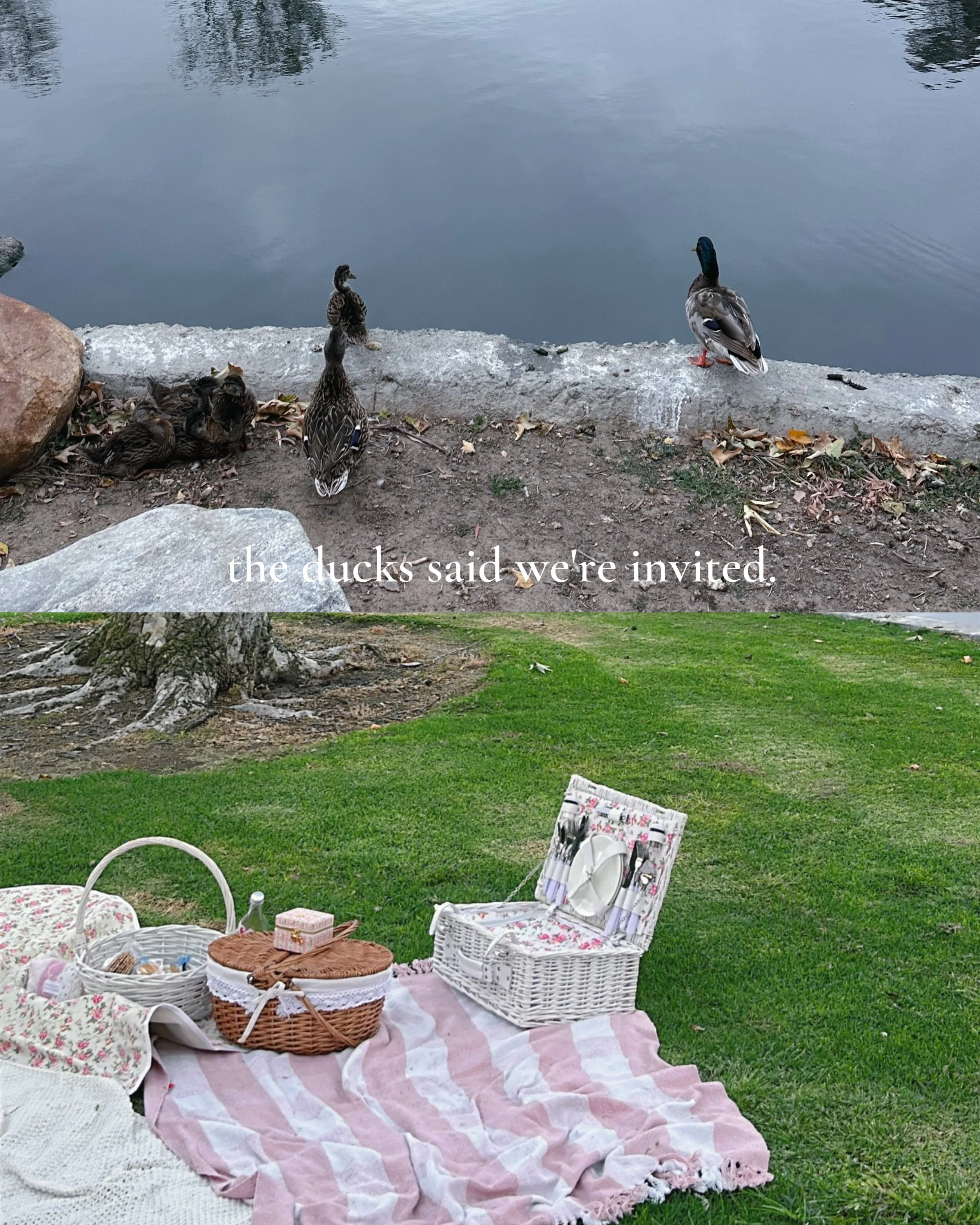 IMG_8111.jpeg