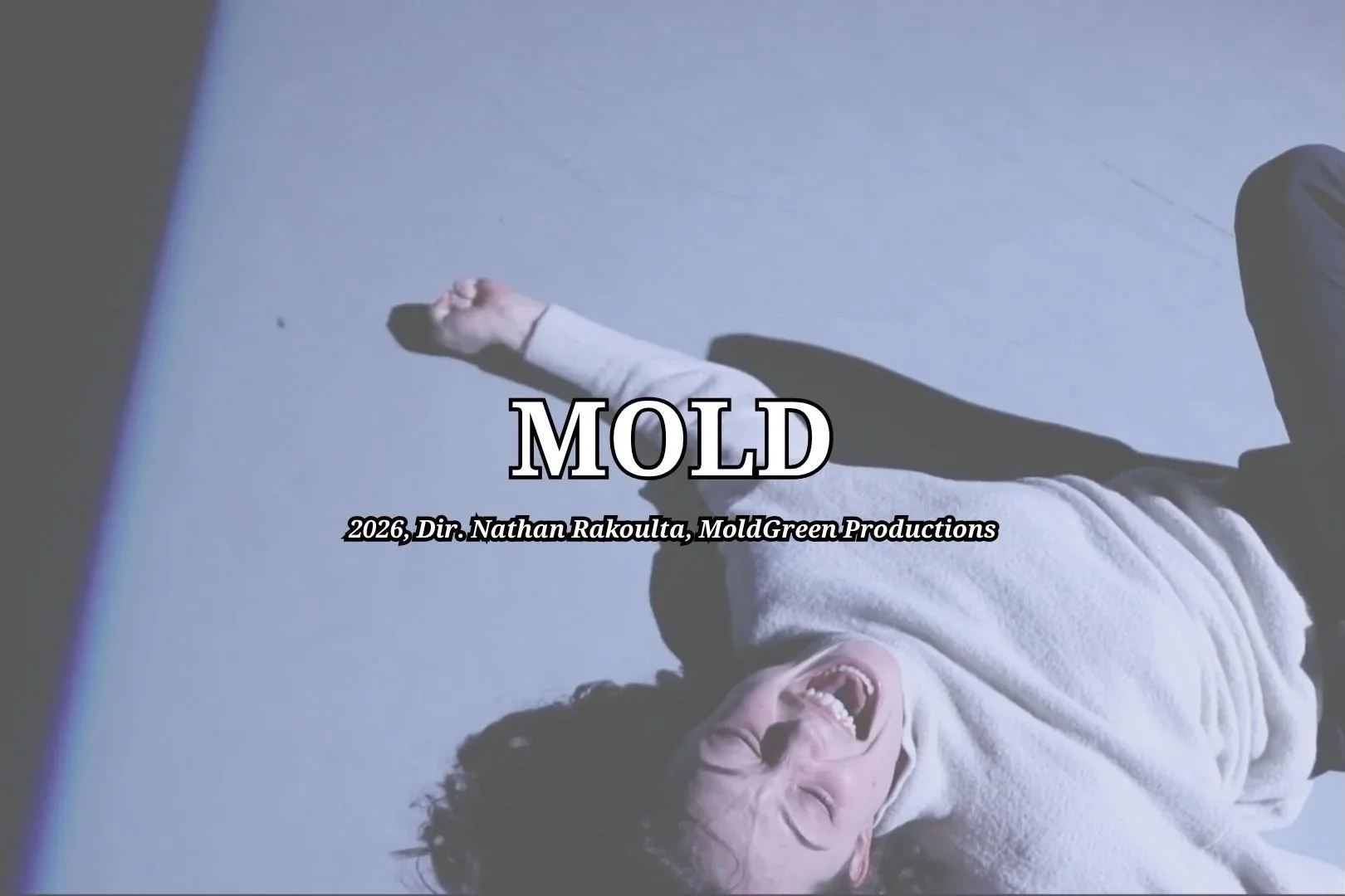 mold+graphic+%282%29.jpg