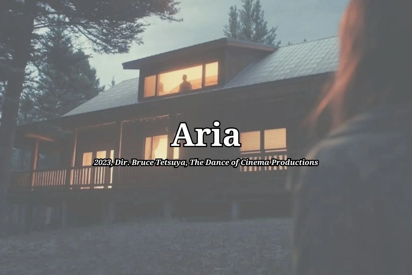 aria+graphic.jpg