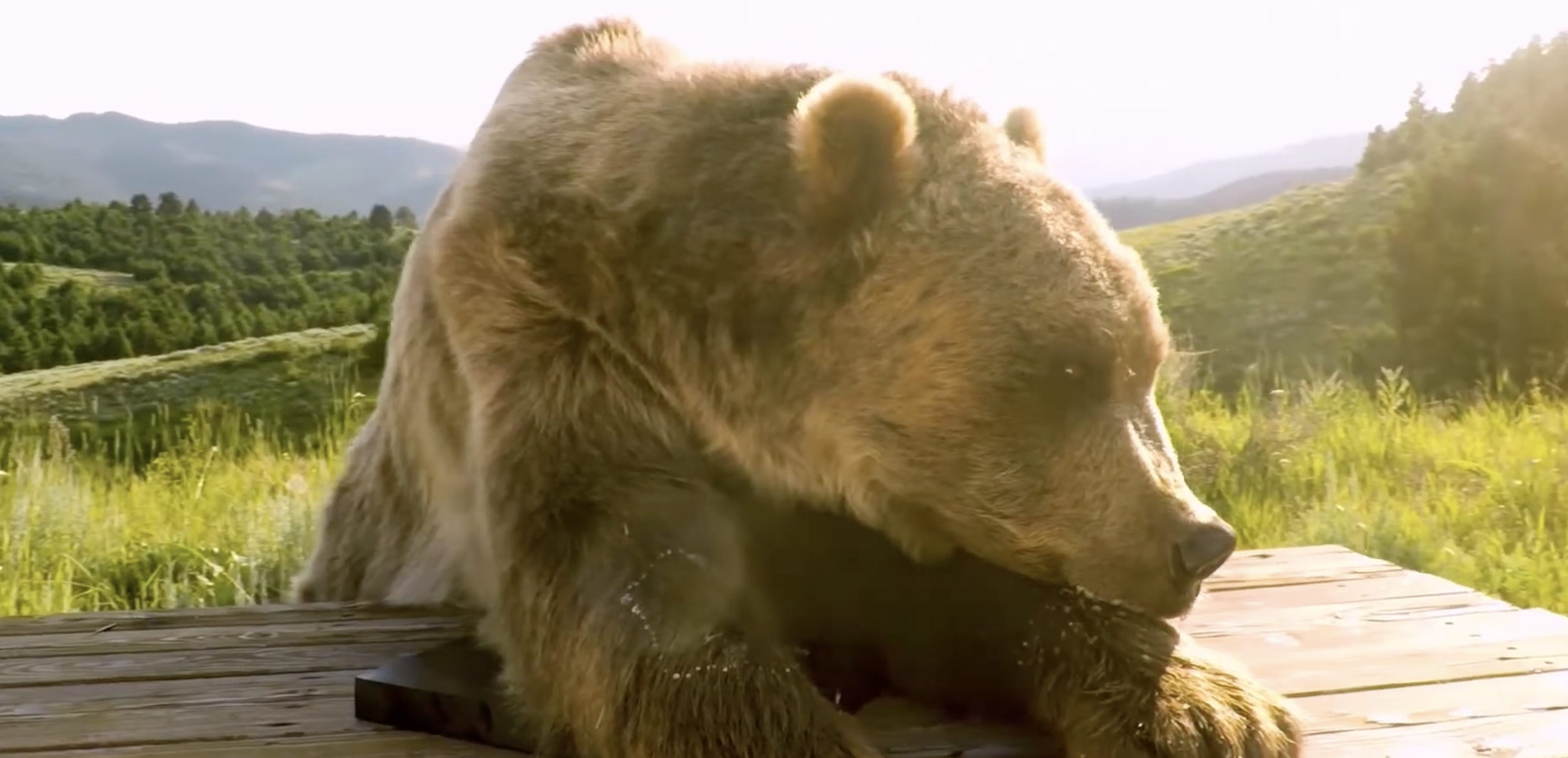 Lenovo: "Grizzly bear unboxing"