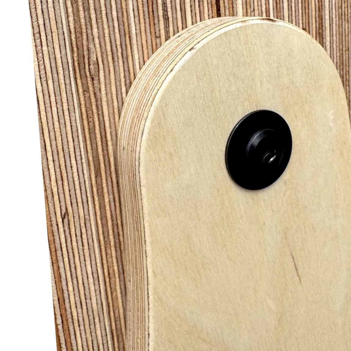 Close-up of Nook Booth with a round entrance hole and a black circular feeding port.