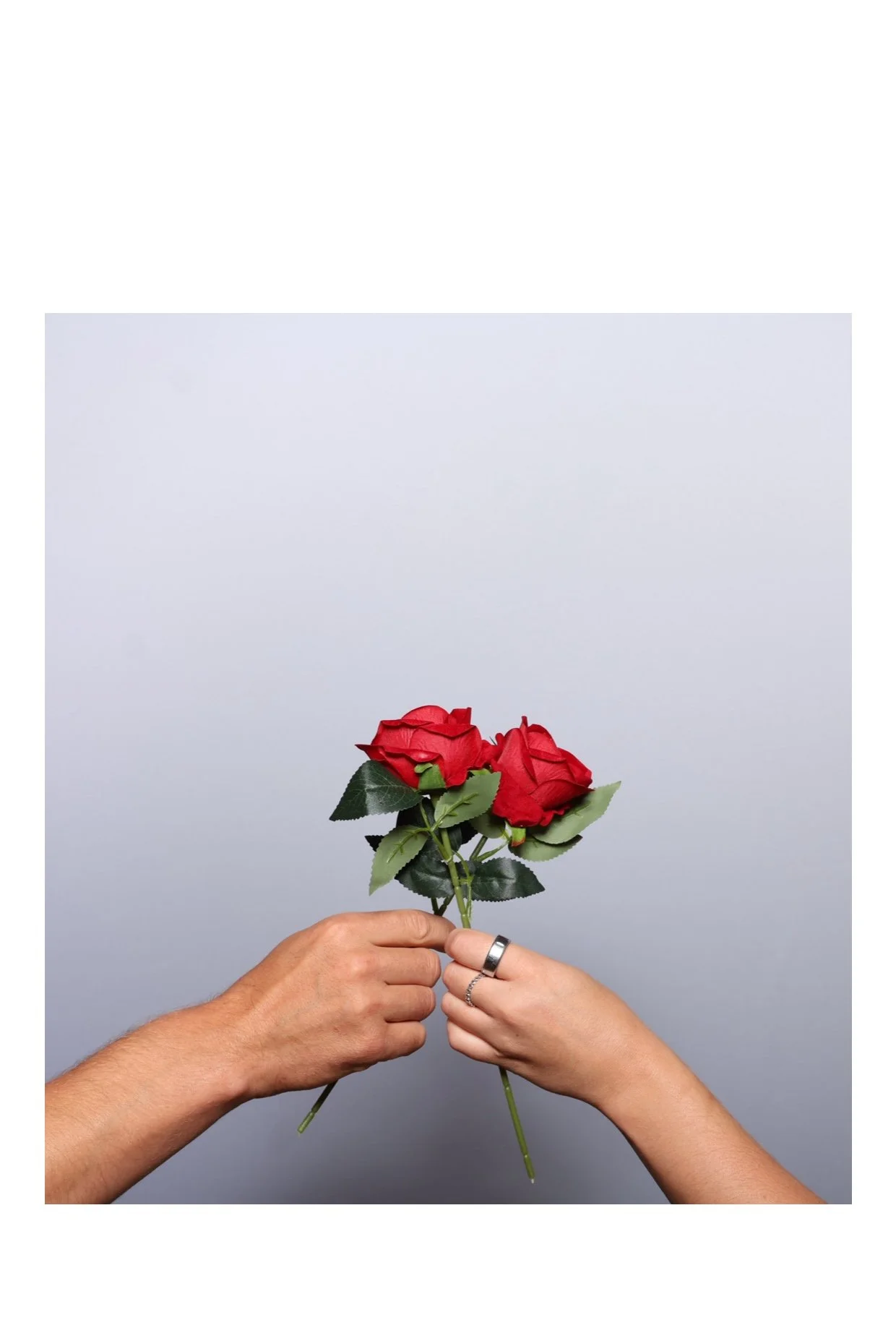 Two hands holding a small bouquet of three red roses with green leaves against a light gray background. Taken by Nook booth Photo Booth