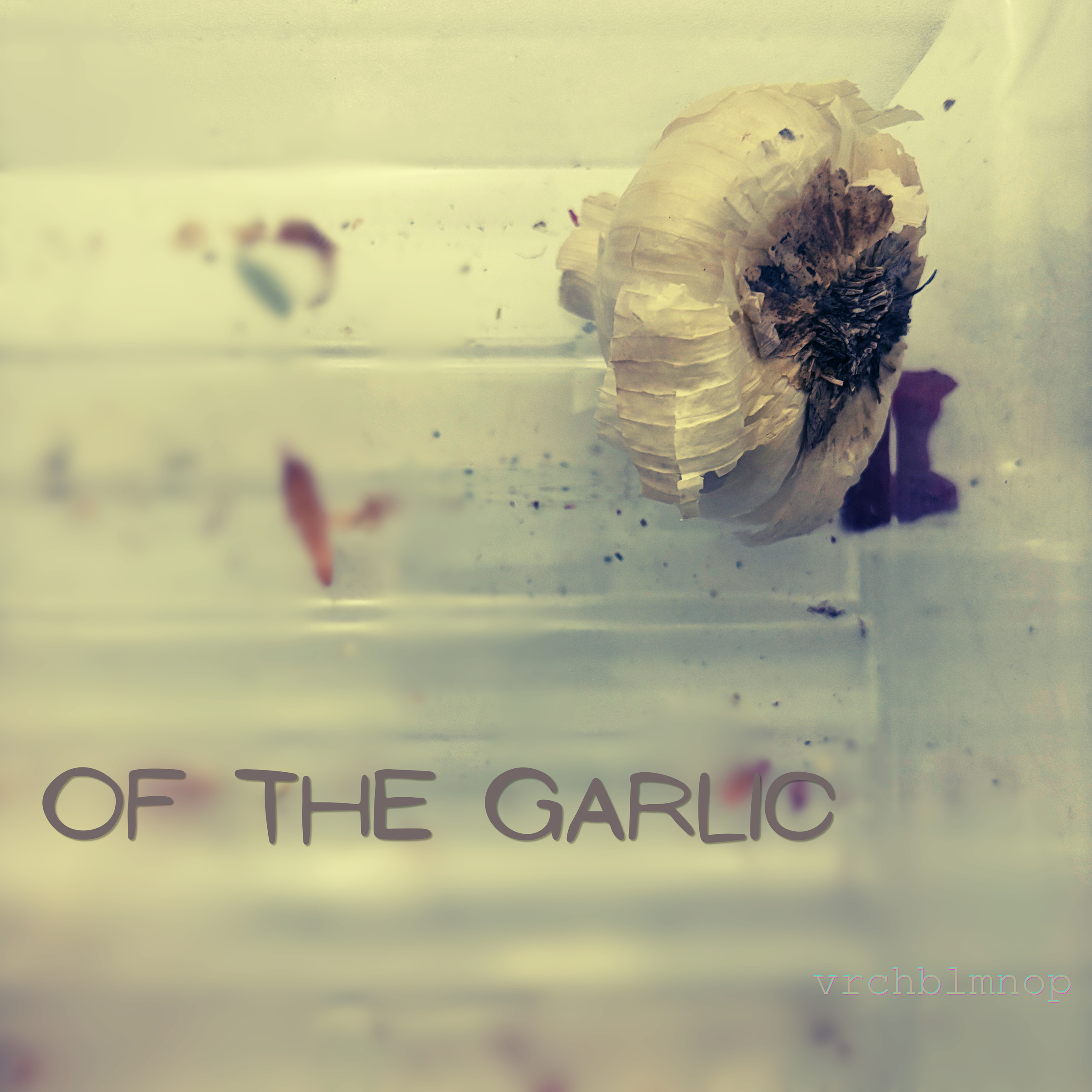 Garlic in the refrigerator with text "Of the Garlic."