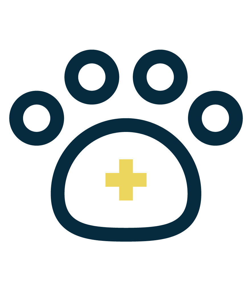 Icon of a paw print with a medical cross inside the pad, indicating veterinary or pet health services.