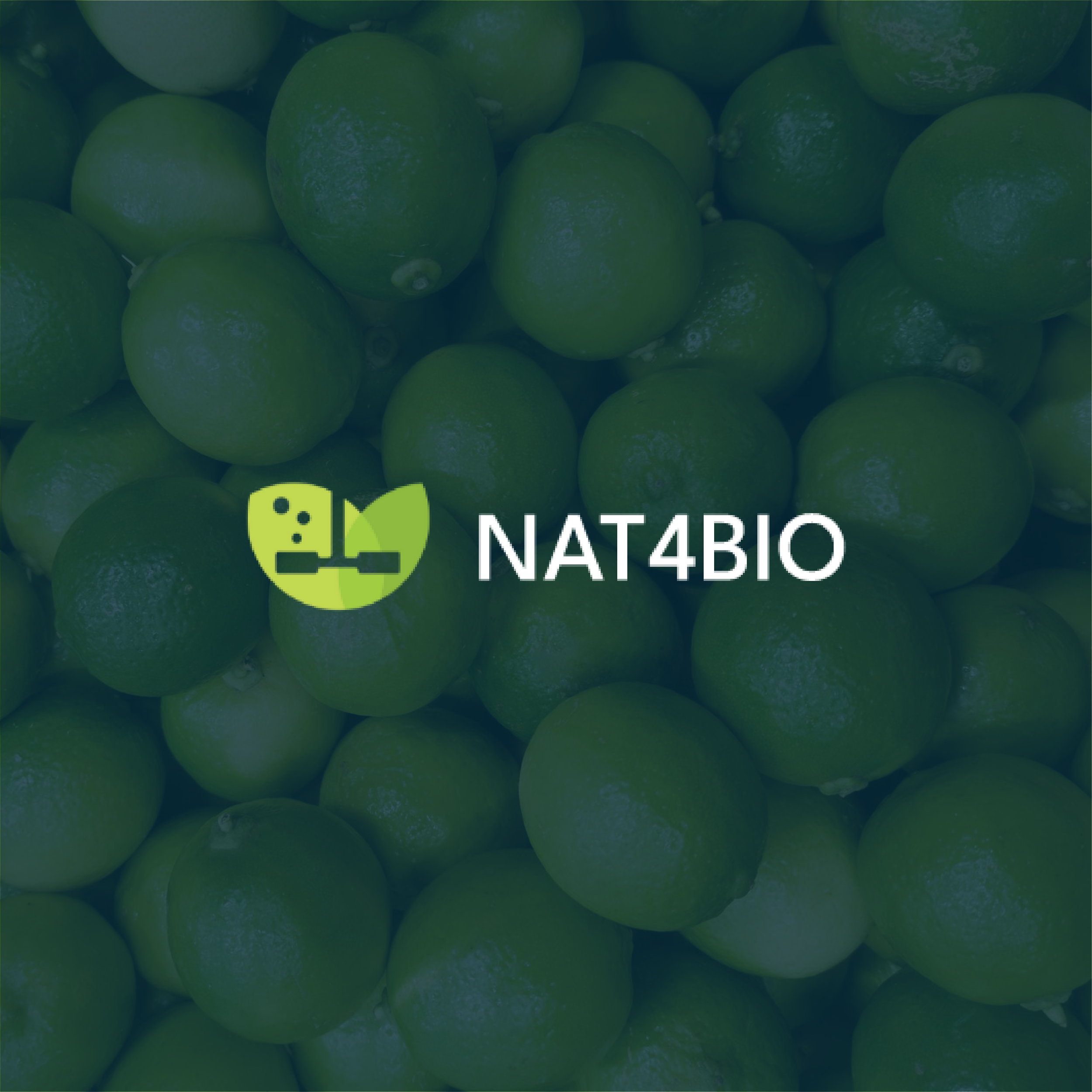 Group of green limes closely packed together.