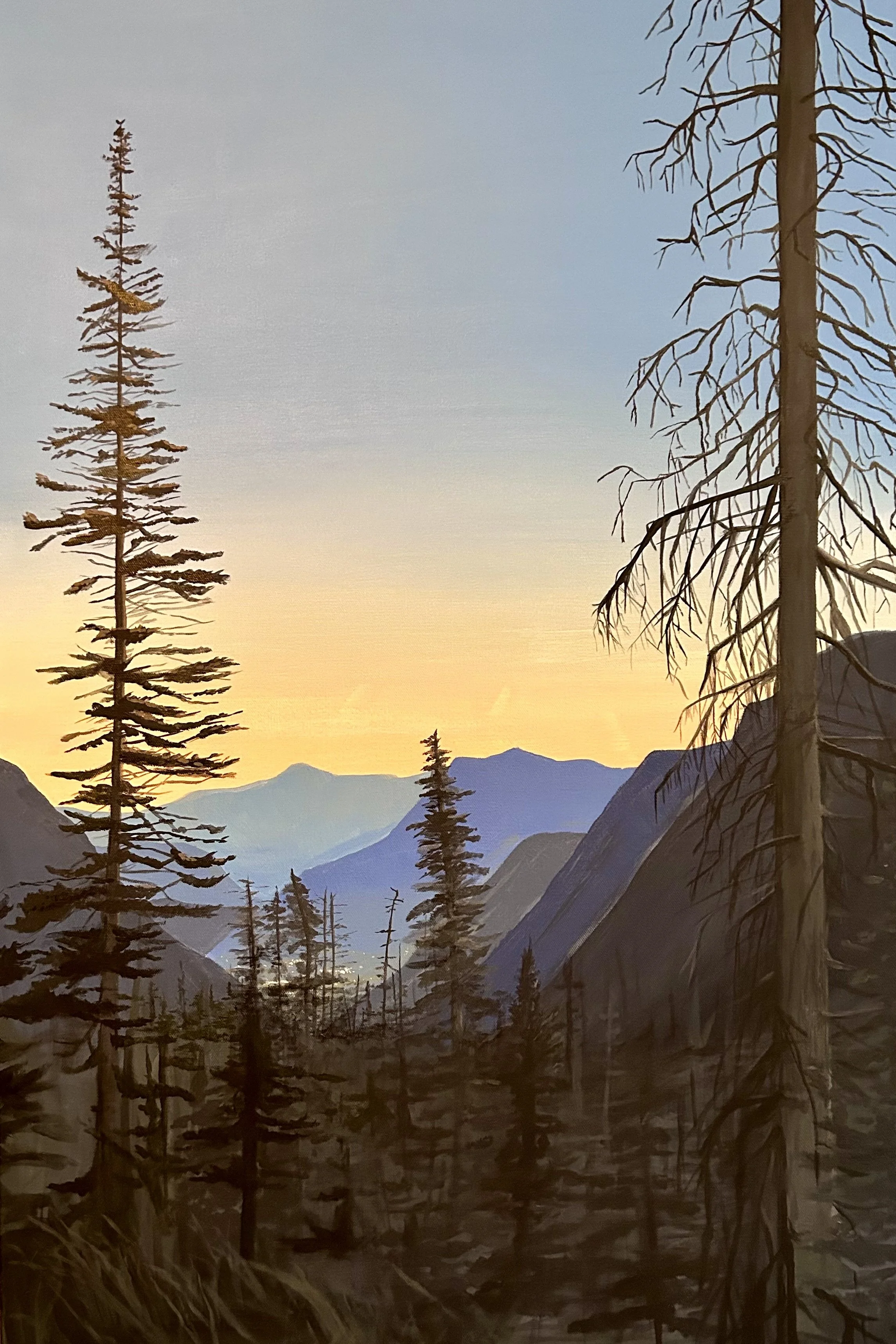 A landscape of tall, leafless trees in the foreground with mountain ranges in the background during sunset or sunrise.
