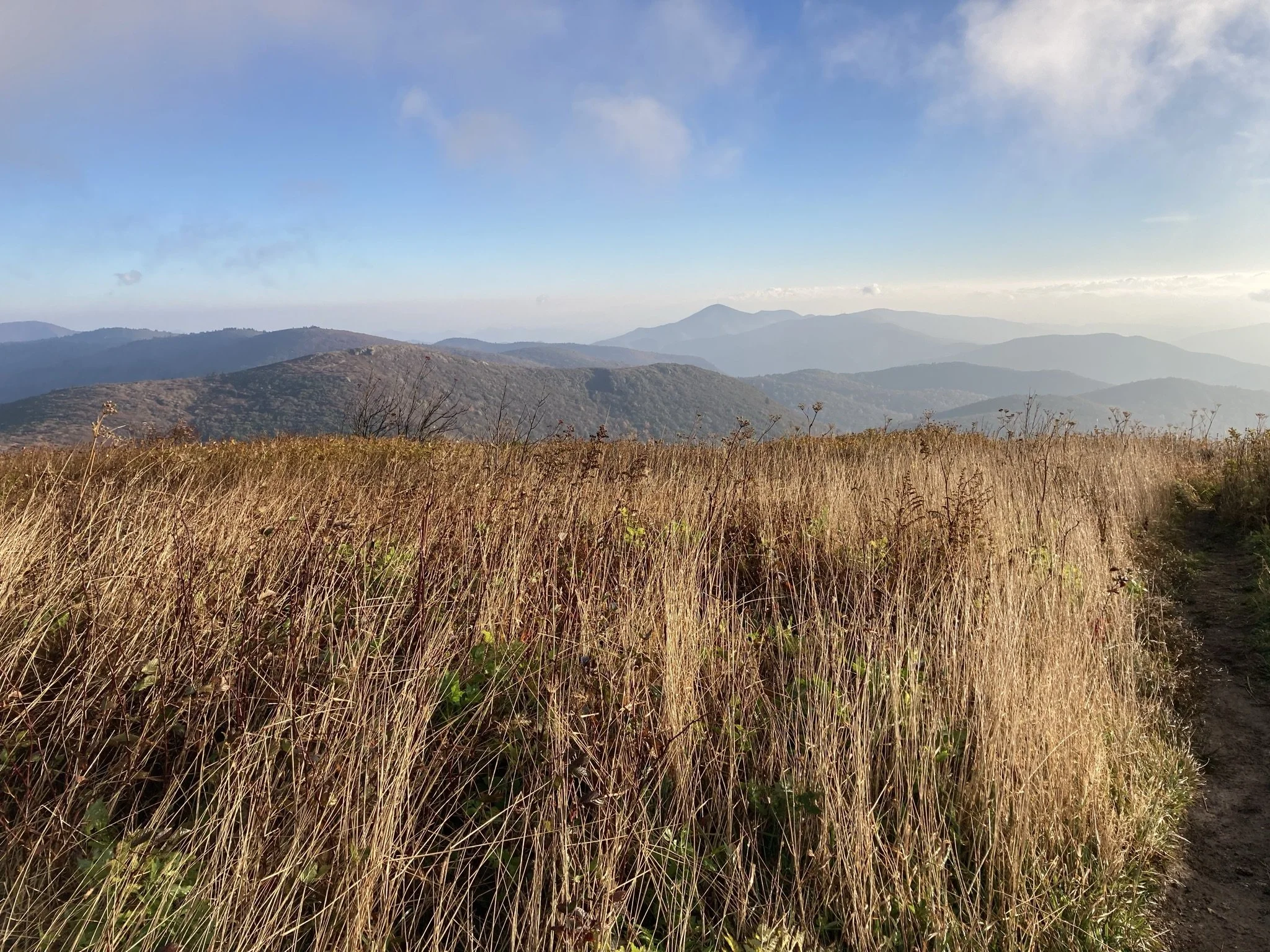 A view of the Blue Ridge Mountains taken at sunrise from Tenant Mountain