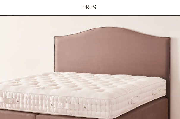Iris_Headboard.png