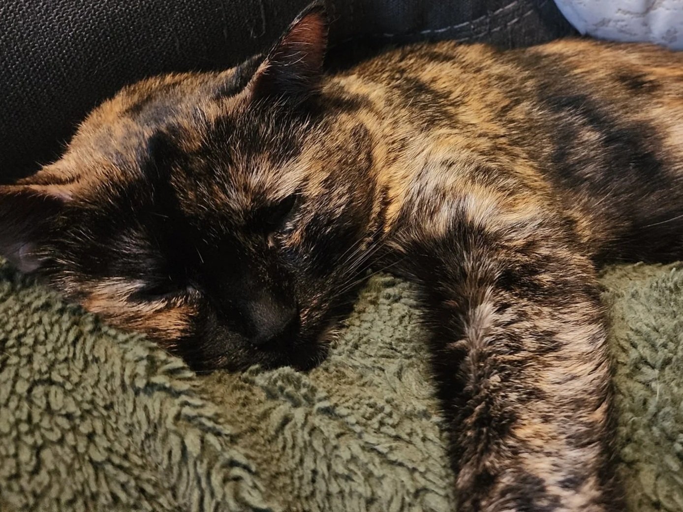 The Relief of Being Sick
