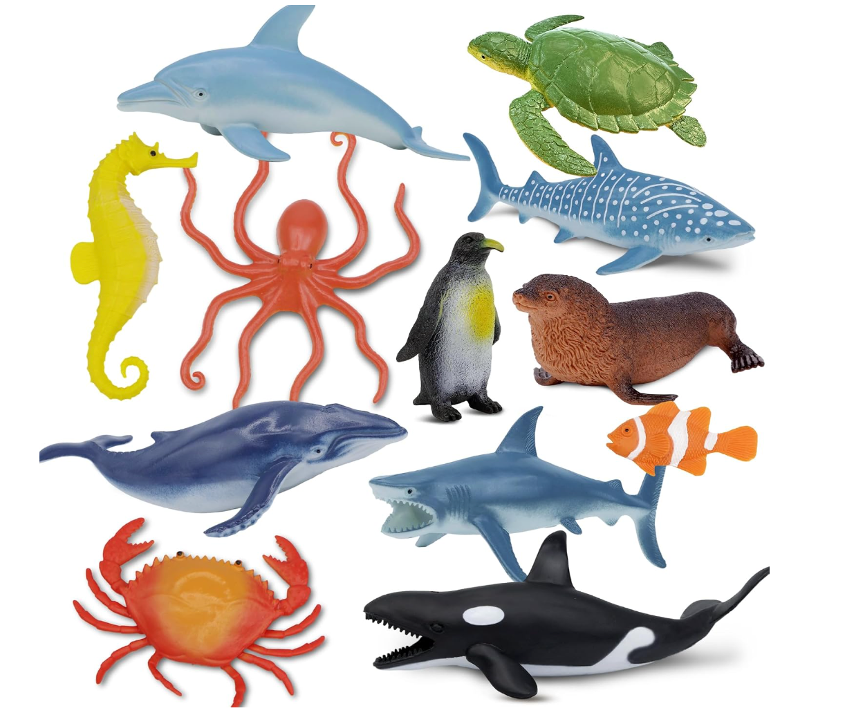 ocean animals.png