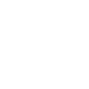 Hackle Rally Logo Plate