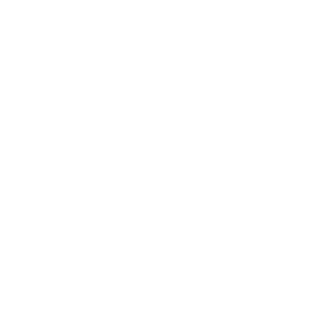 Moates Rally Team logo