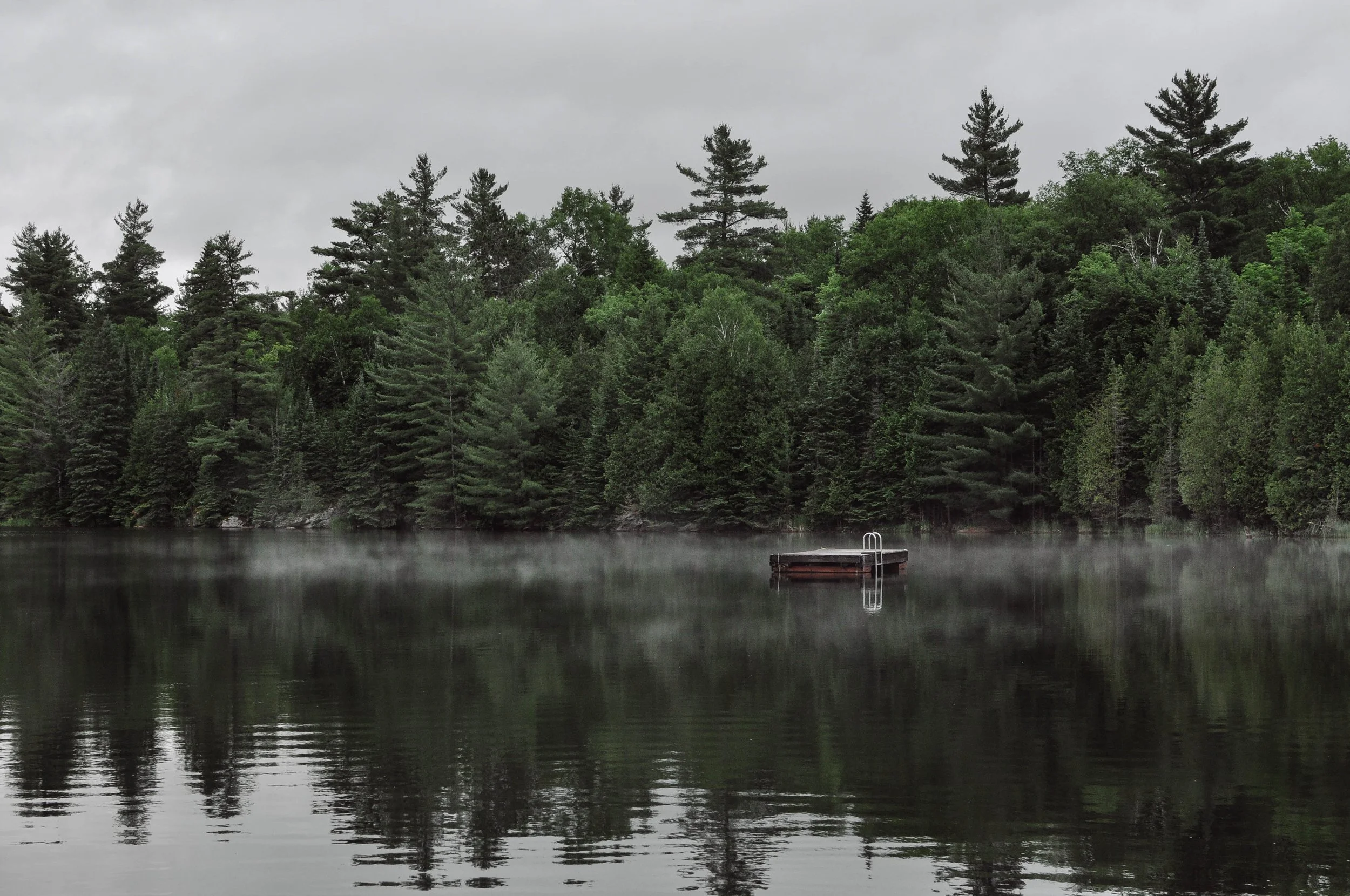 foggy.jpg