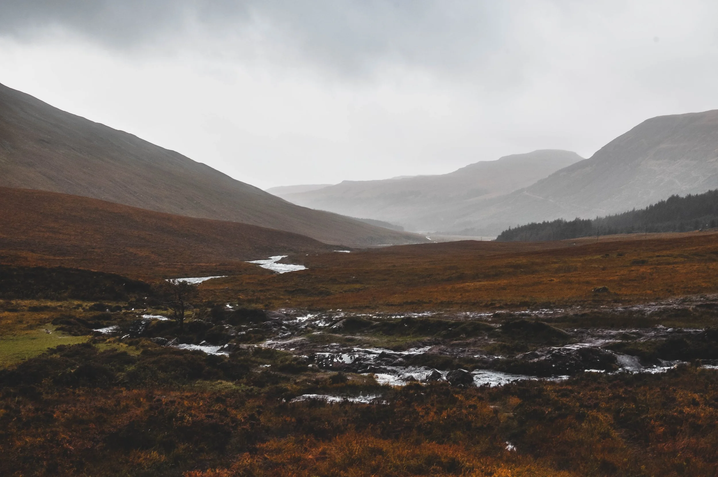 fairypools3.jpg