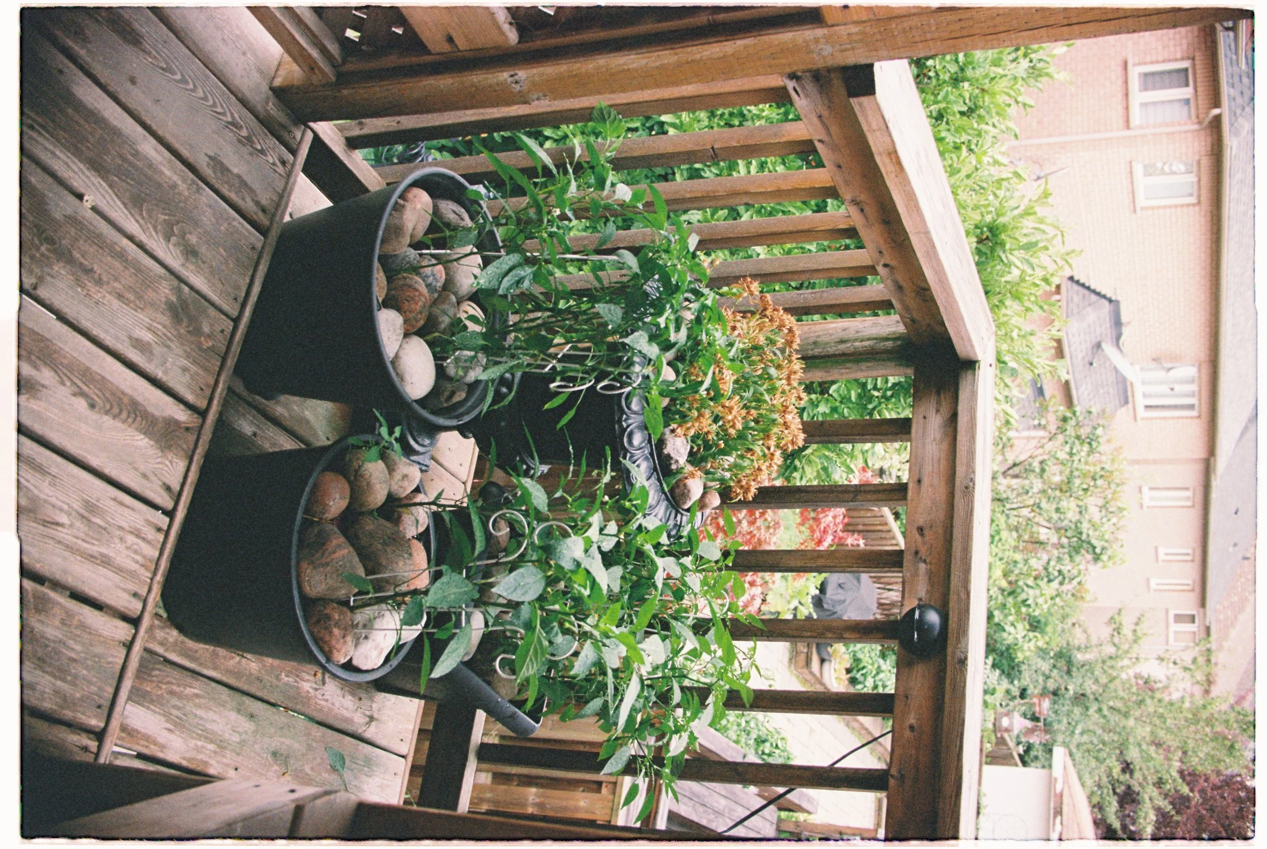 R1-00613-009A.JPG