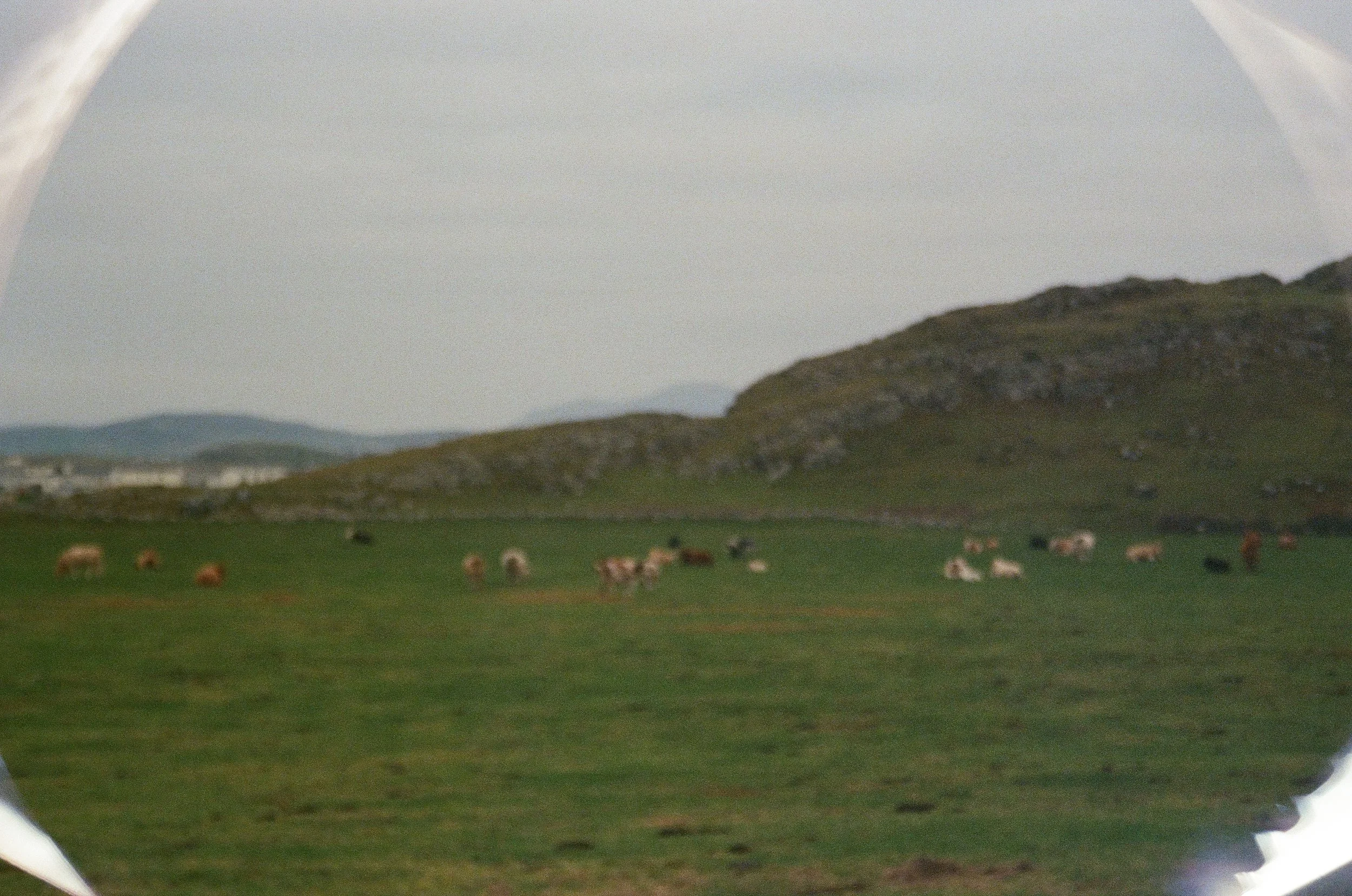 001696750017.jpg