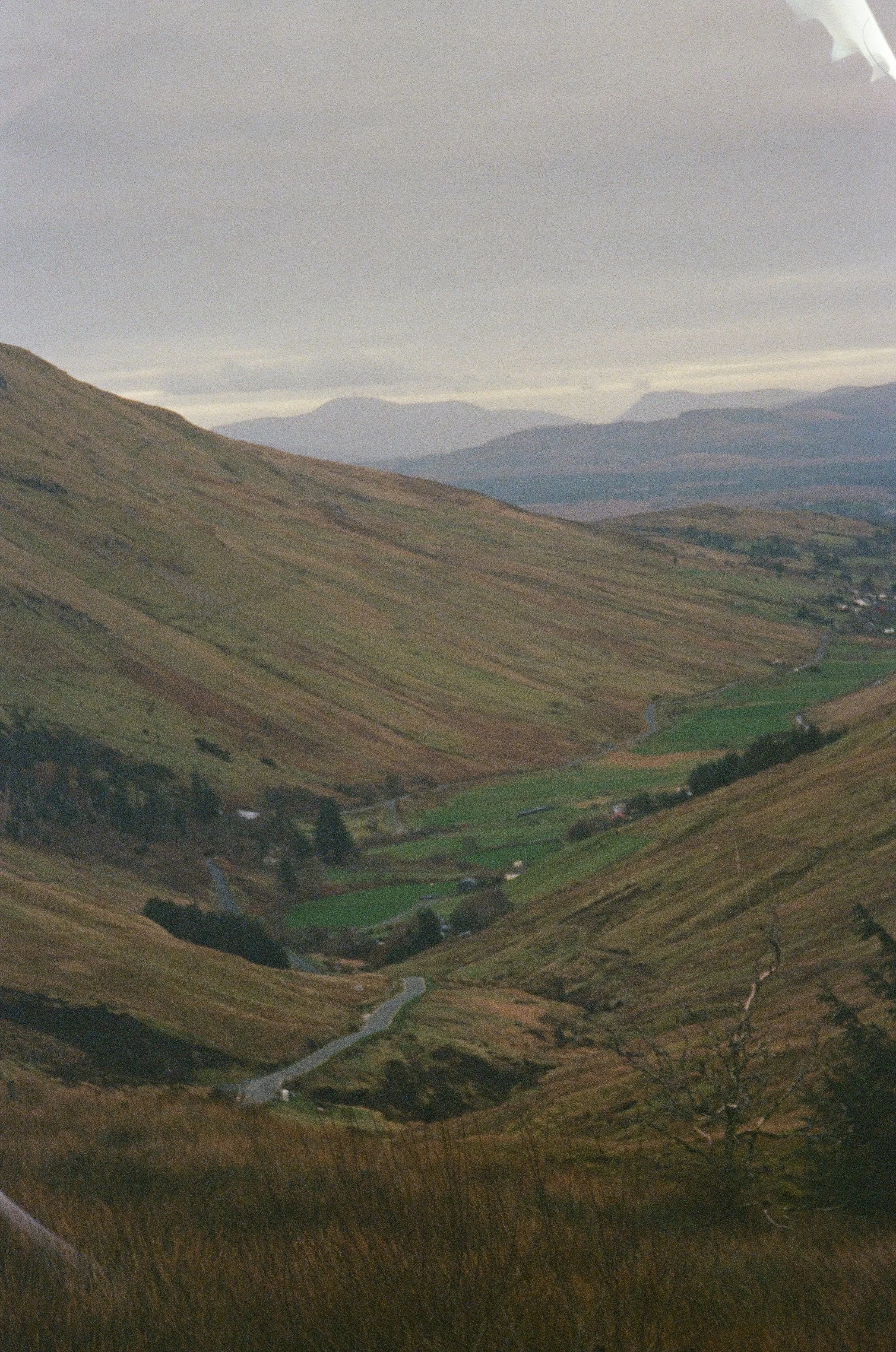 001696750013.jpg
