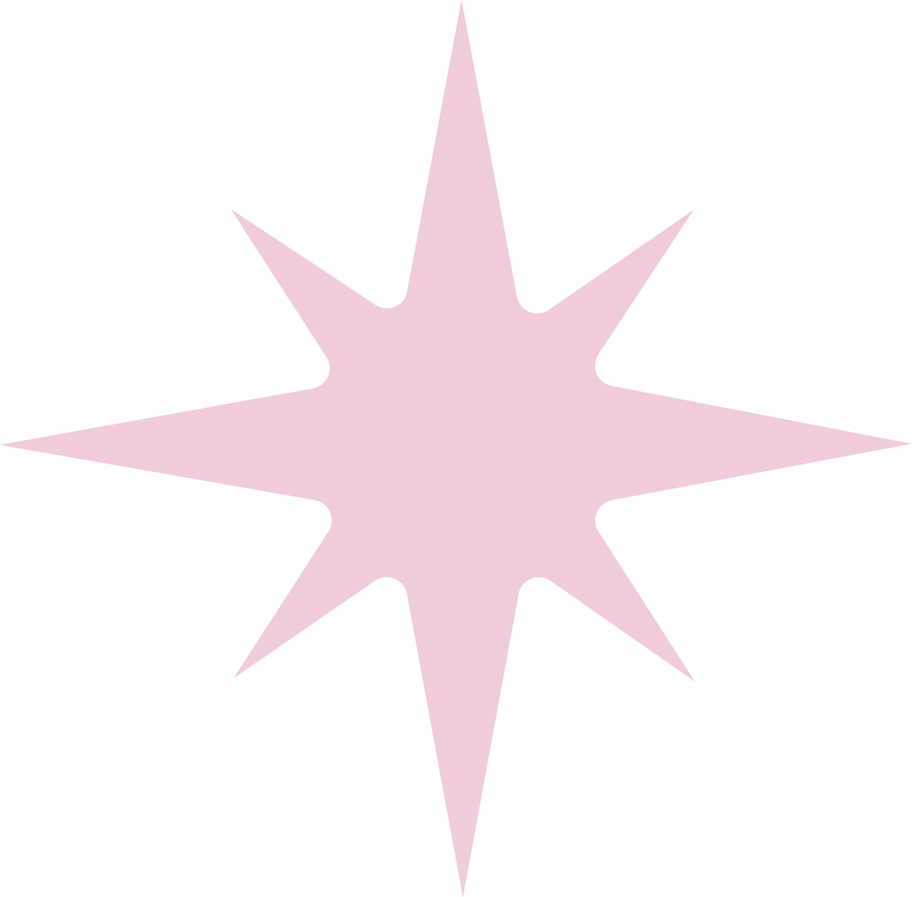 Large pink star with multiple points on a white background.