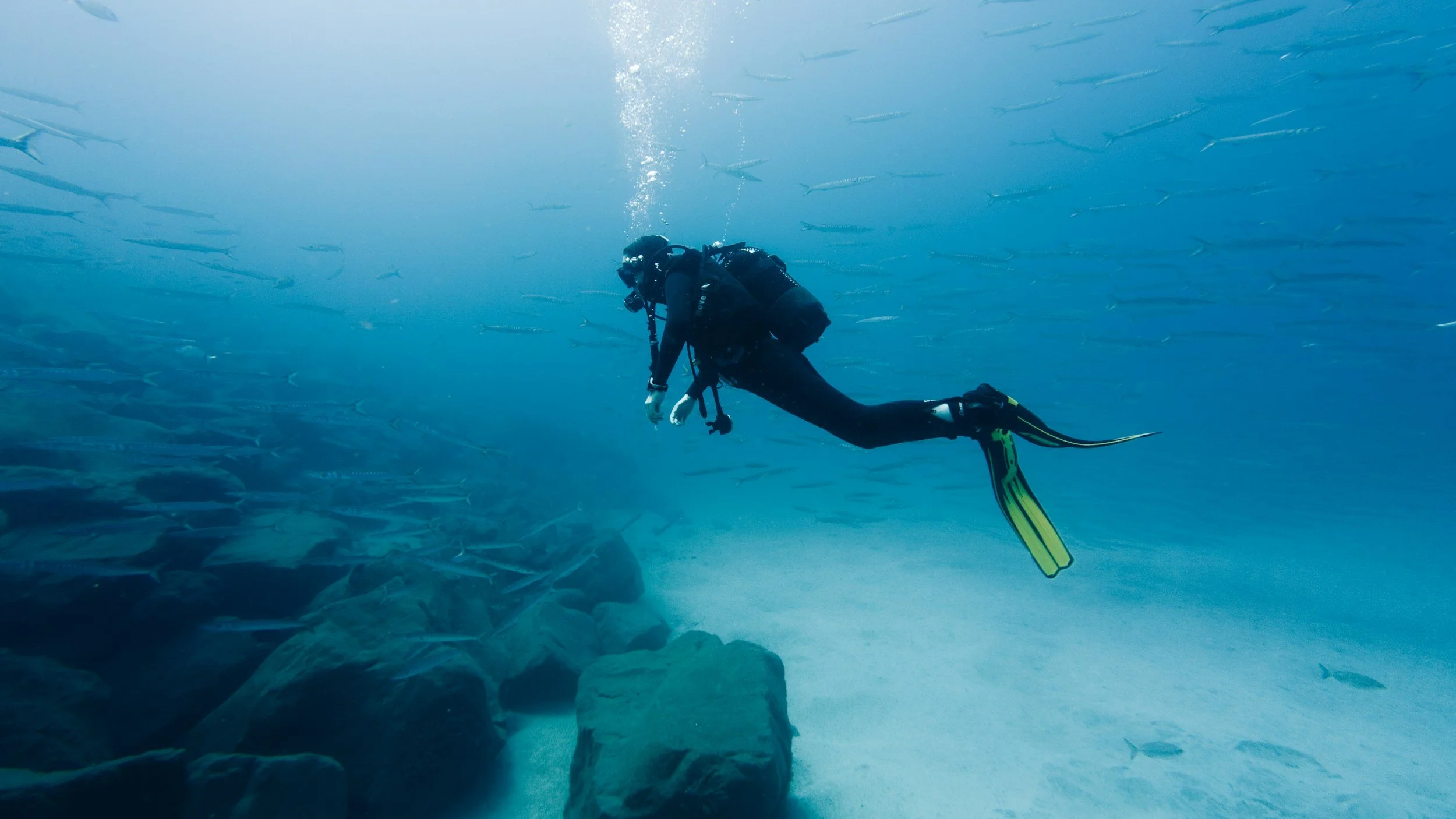 Open Water Training — Blue Water Park