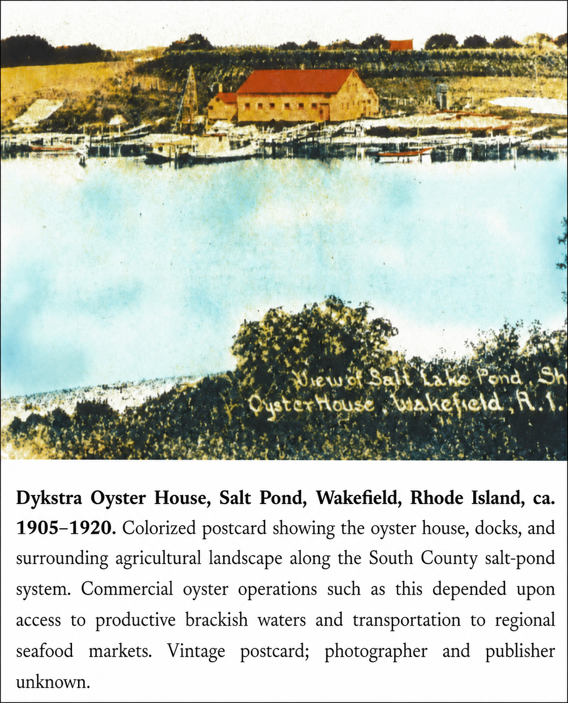 Colorized postcard of the Dykstra Oyster House at Salt Pond in Wakefield, Rhode Island, showing the oyster house, docks, boats, and surrounding agricultural landscape from 1905 to 1920.