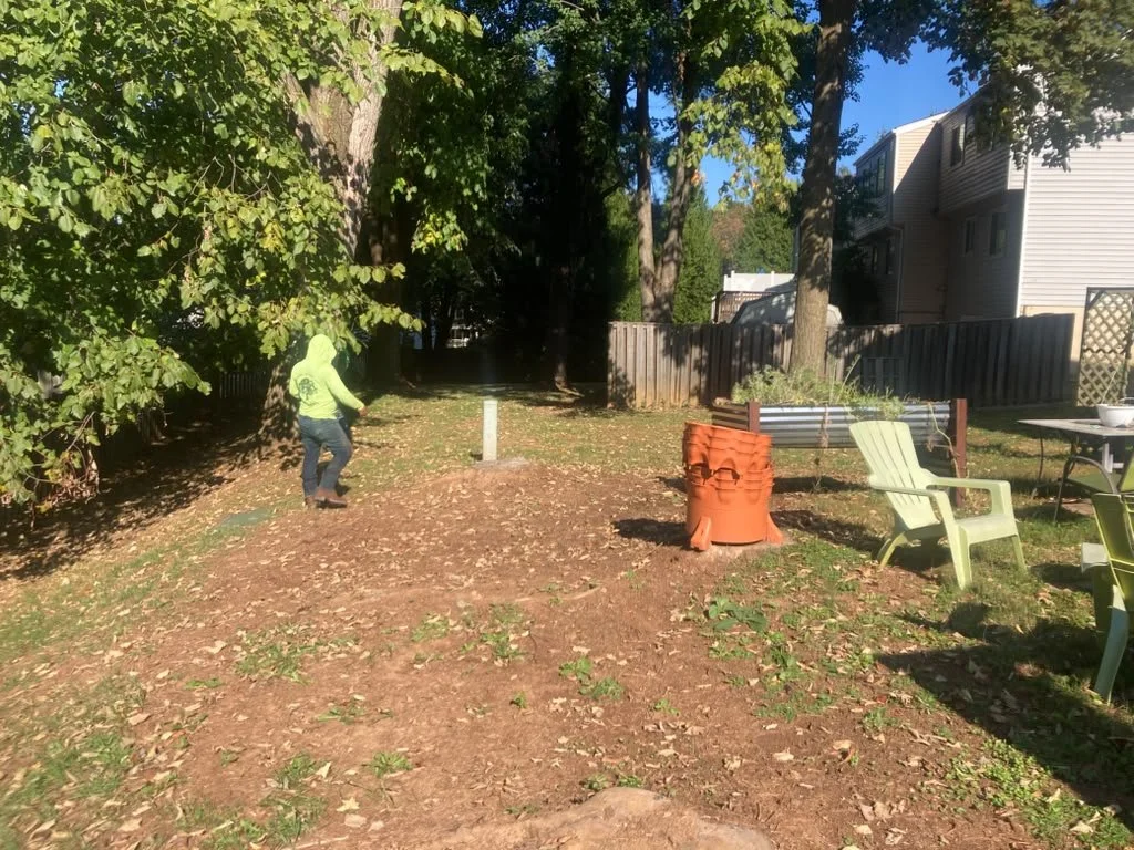 Grass seed installation
