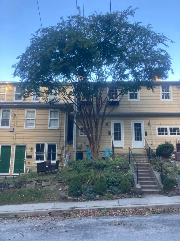 Tree thinning after