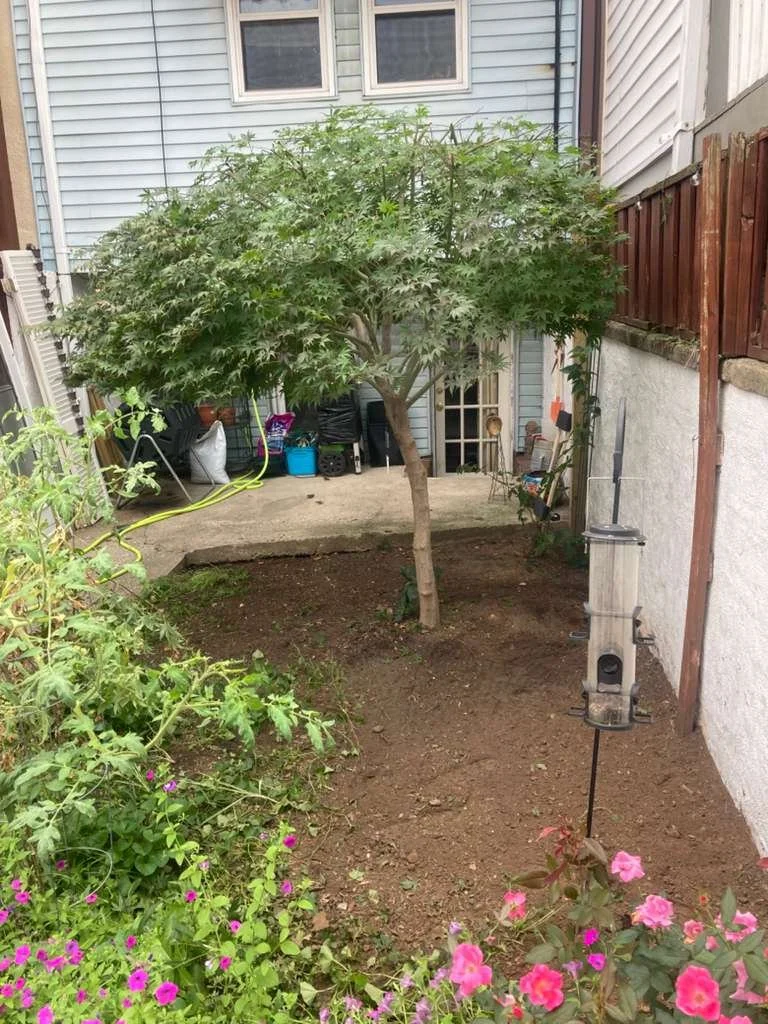 Small tree pruning