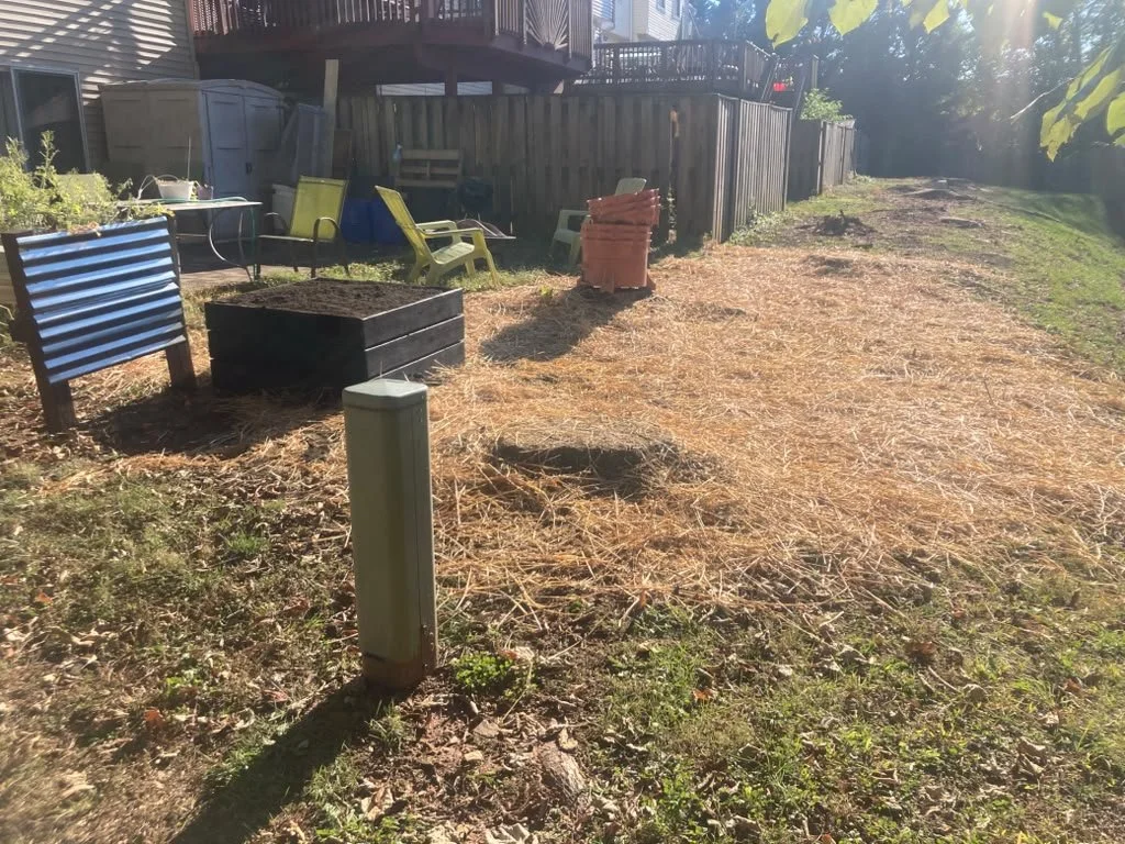 Grass seed installation