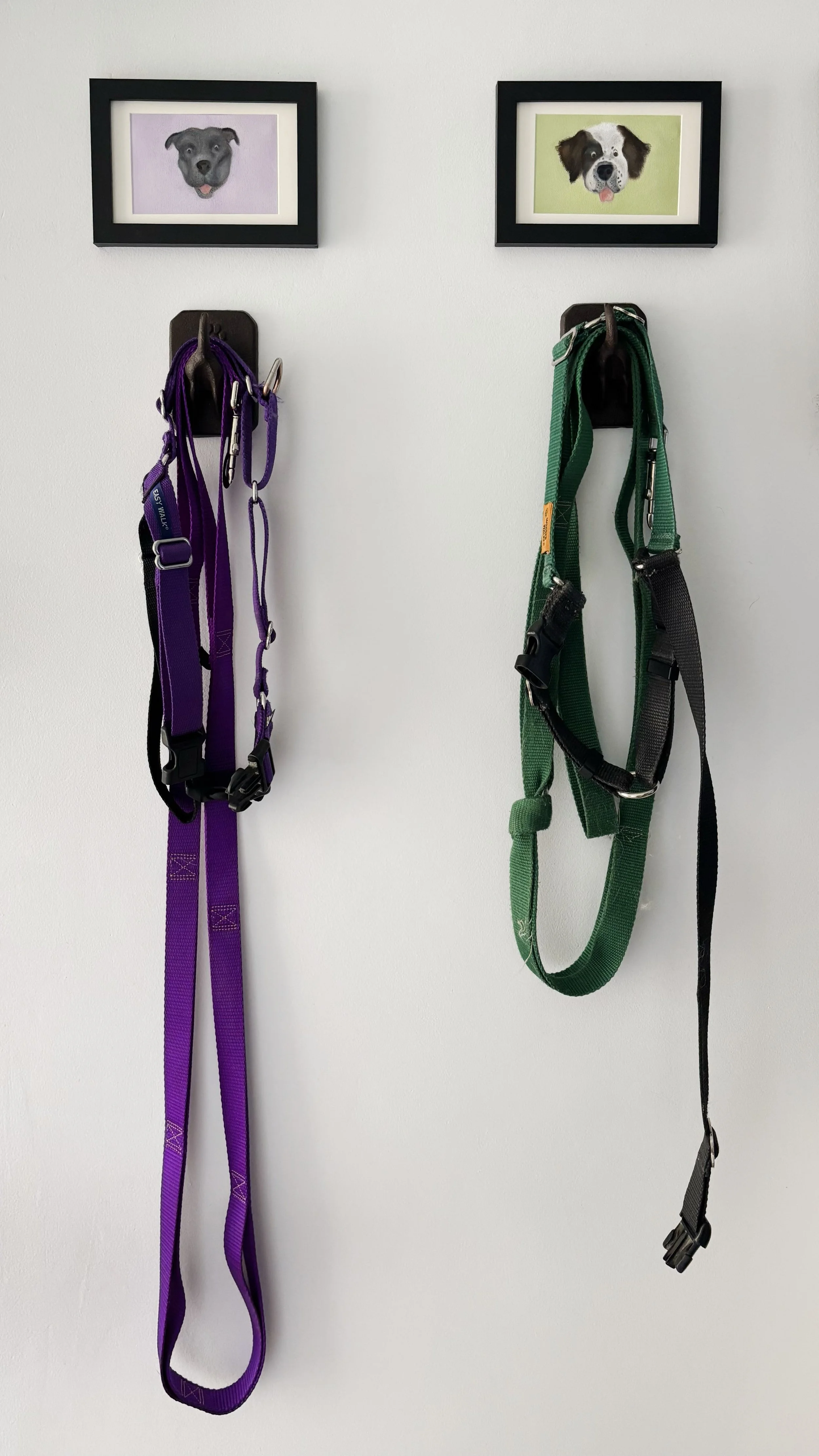 leashes.jpg