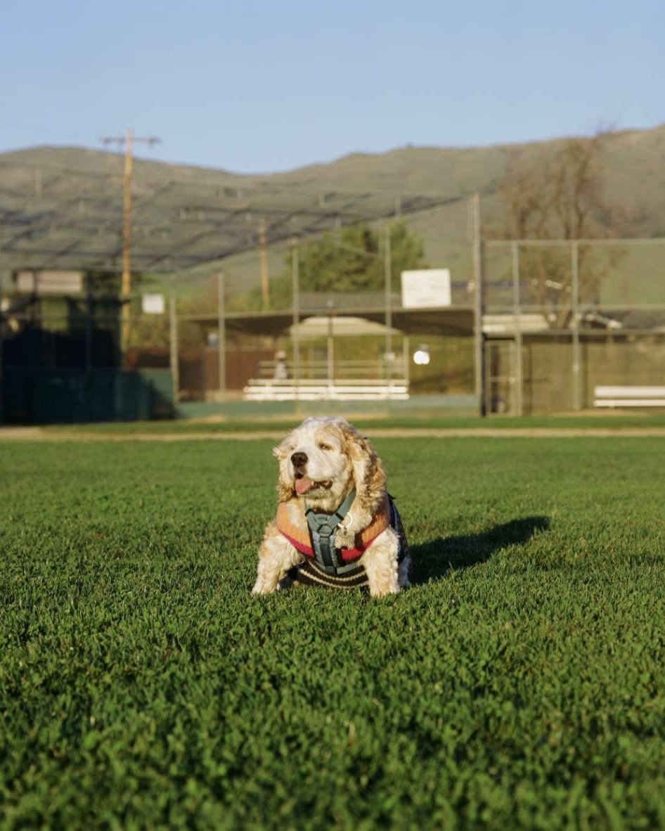 Shot on medium format Zoe is peaceful.