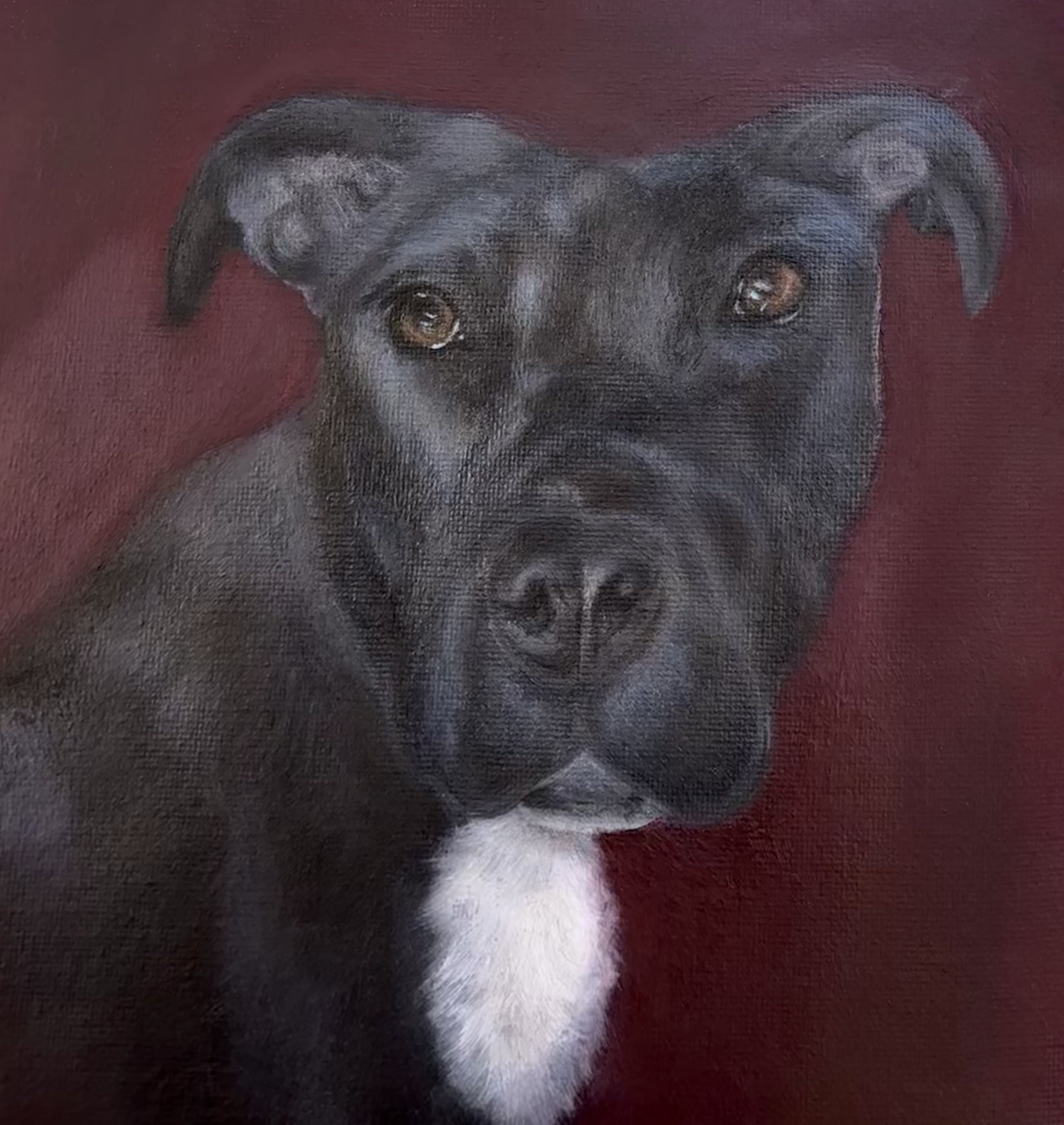 fiona_portrait.jpg