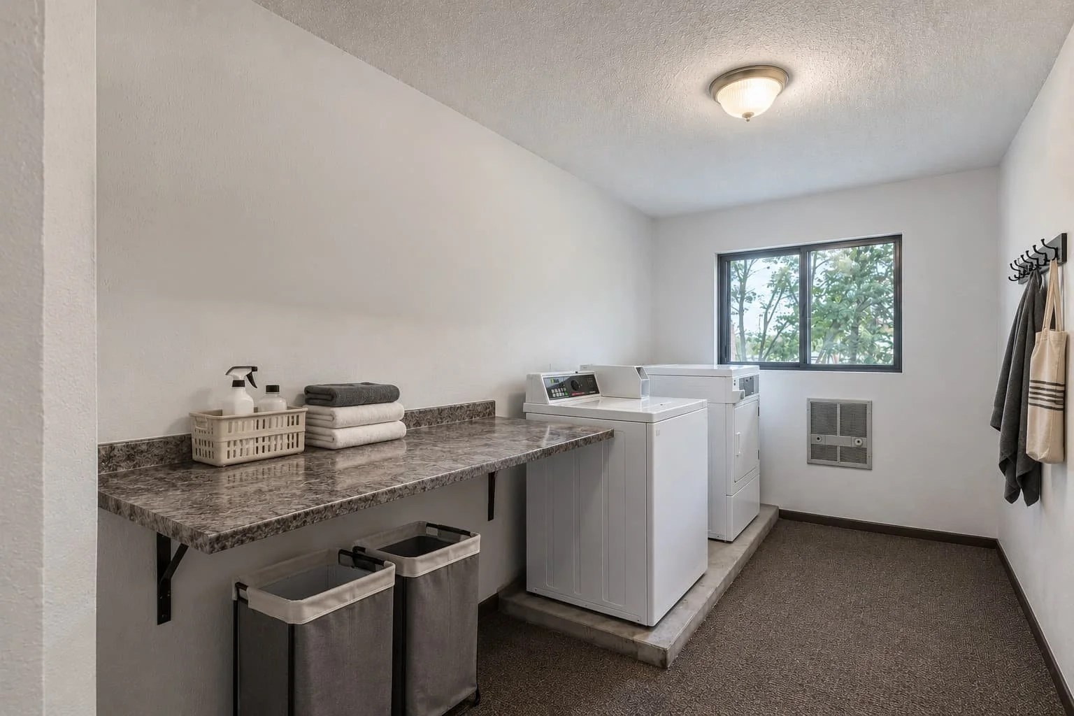 Laundry room with white washer and dryer, beige walls, brown carpet, window showing green trees outside, laundry supplies on a granite countertop, hung towels on wall hooks.